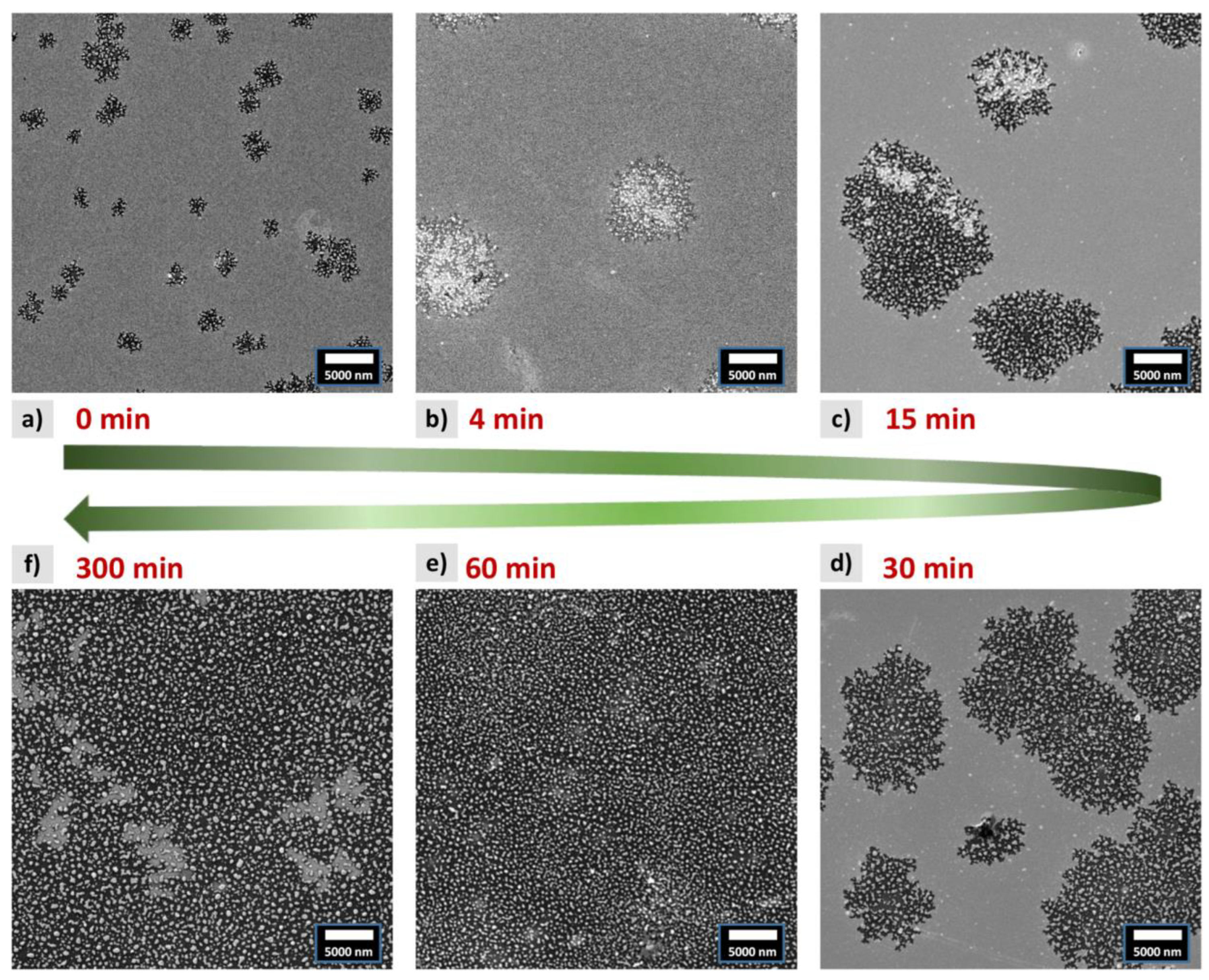 Materials 16 00092 g002