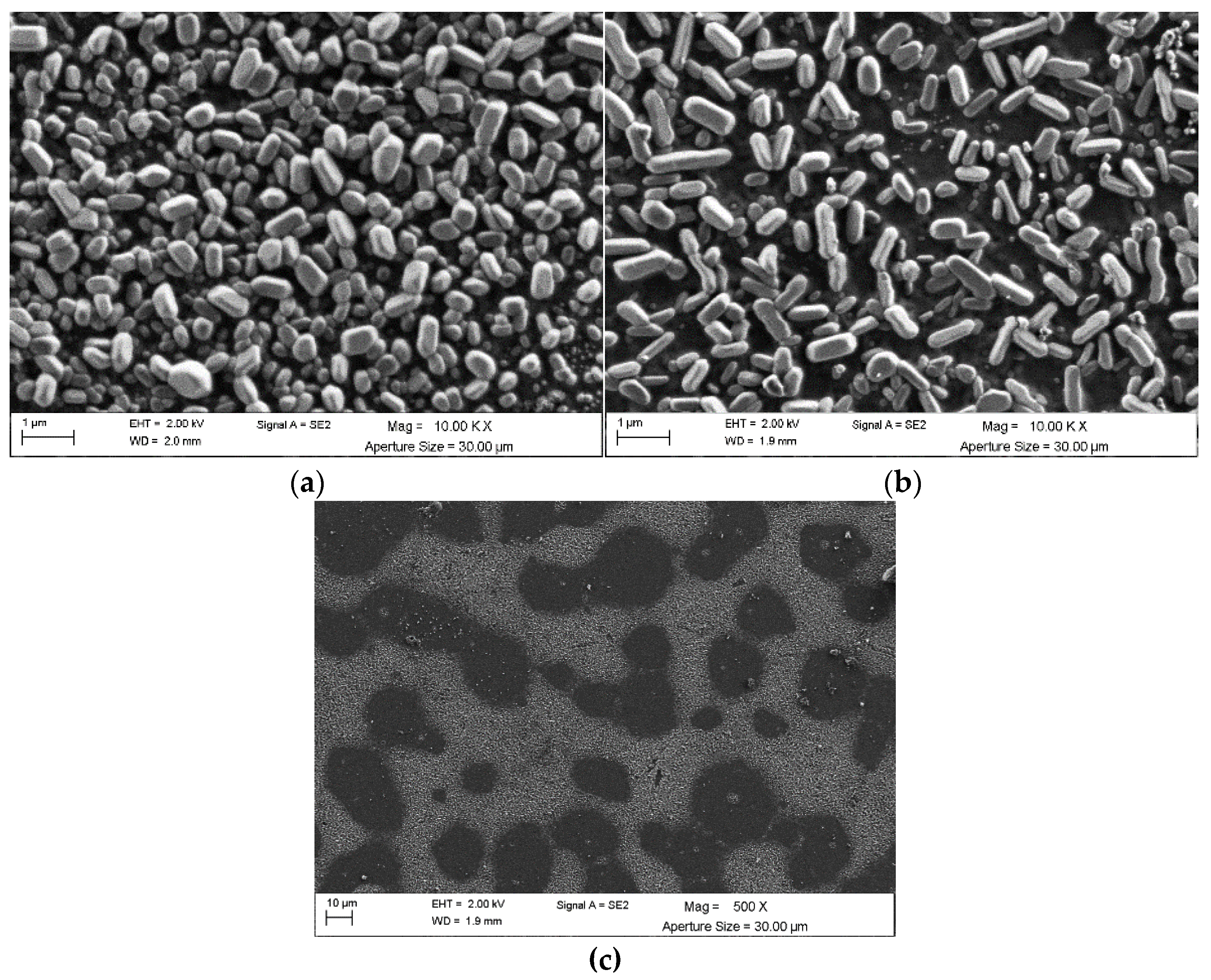 Materials 16 00146 g005