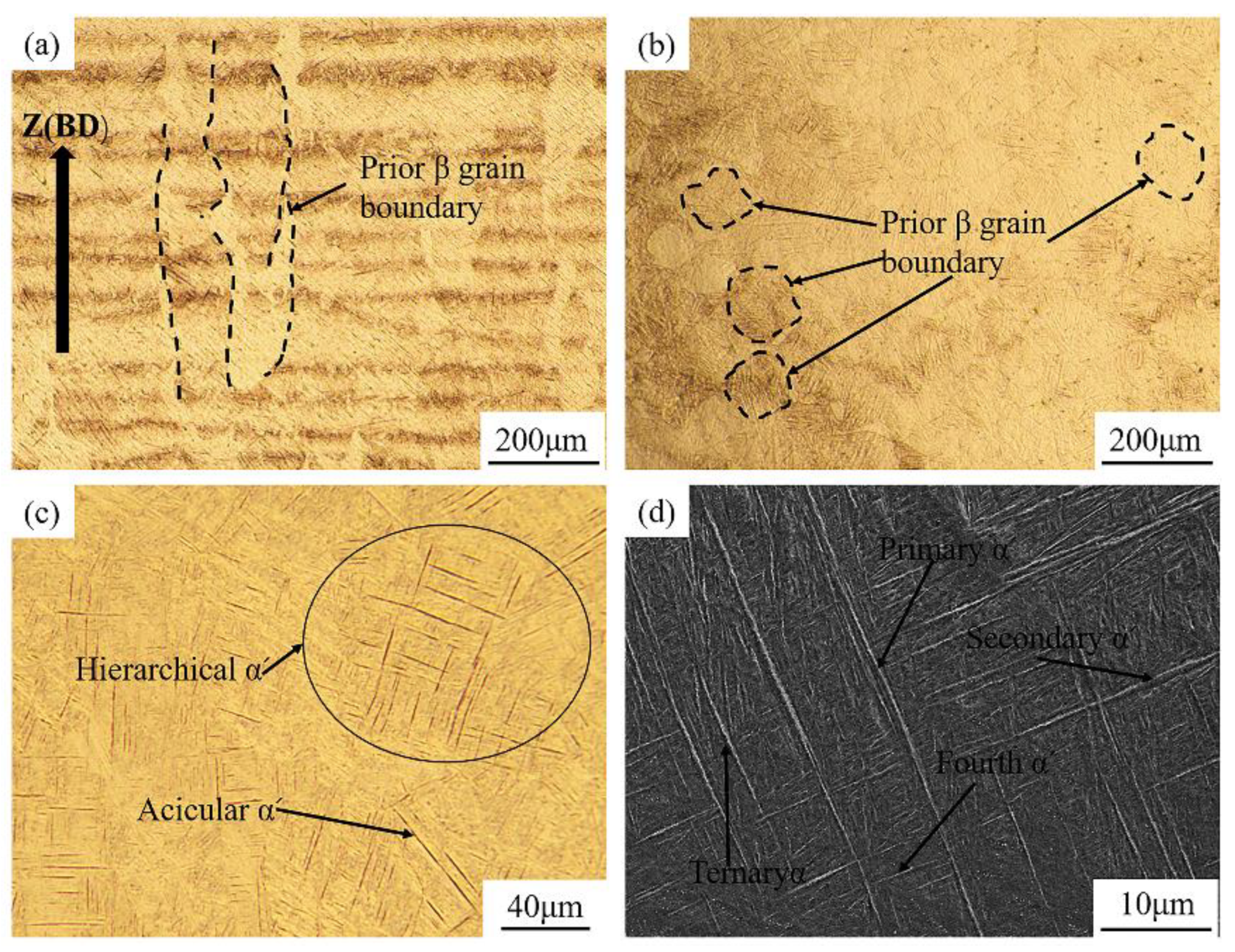 Materials 16 00160 g003