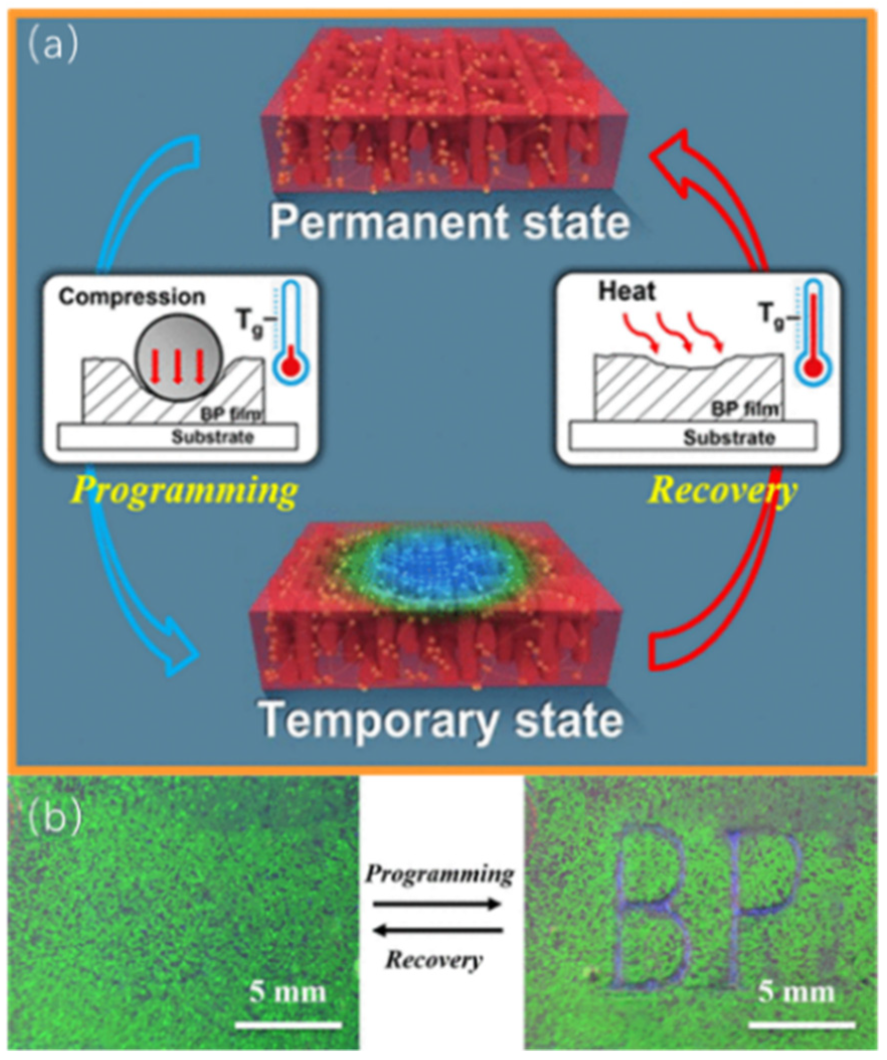 Materials 16 00194 g009