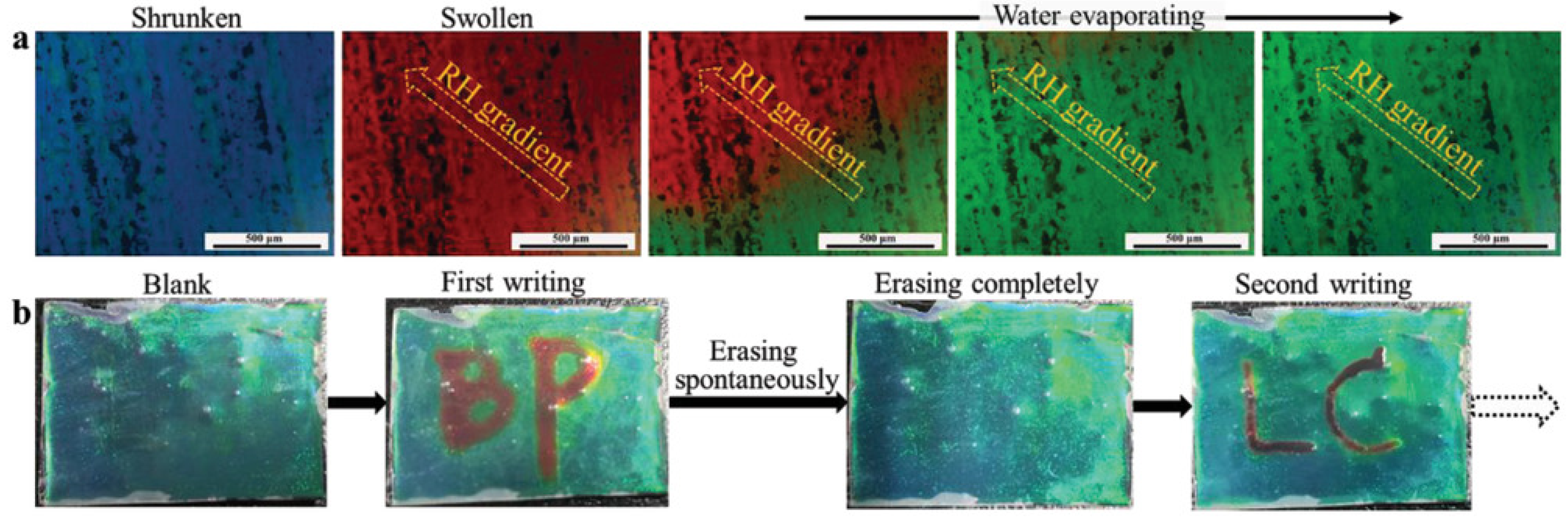 Materials 16 00194 g010