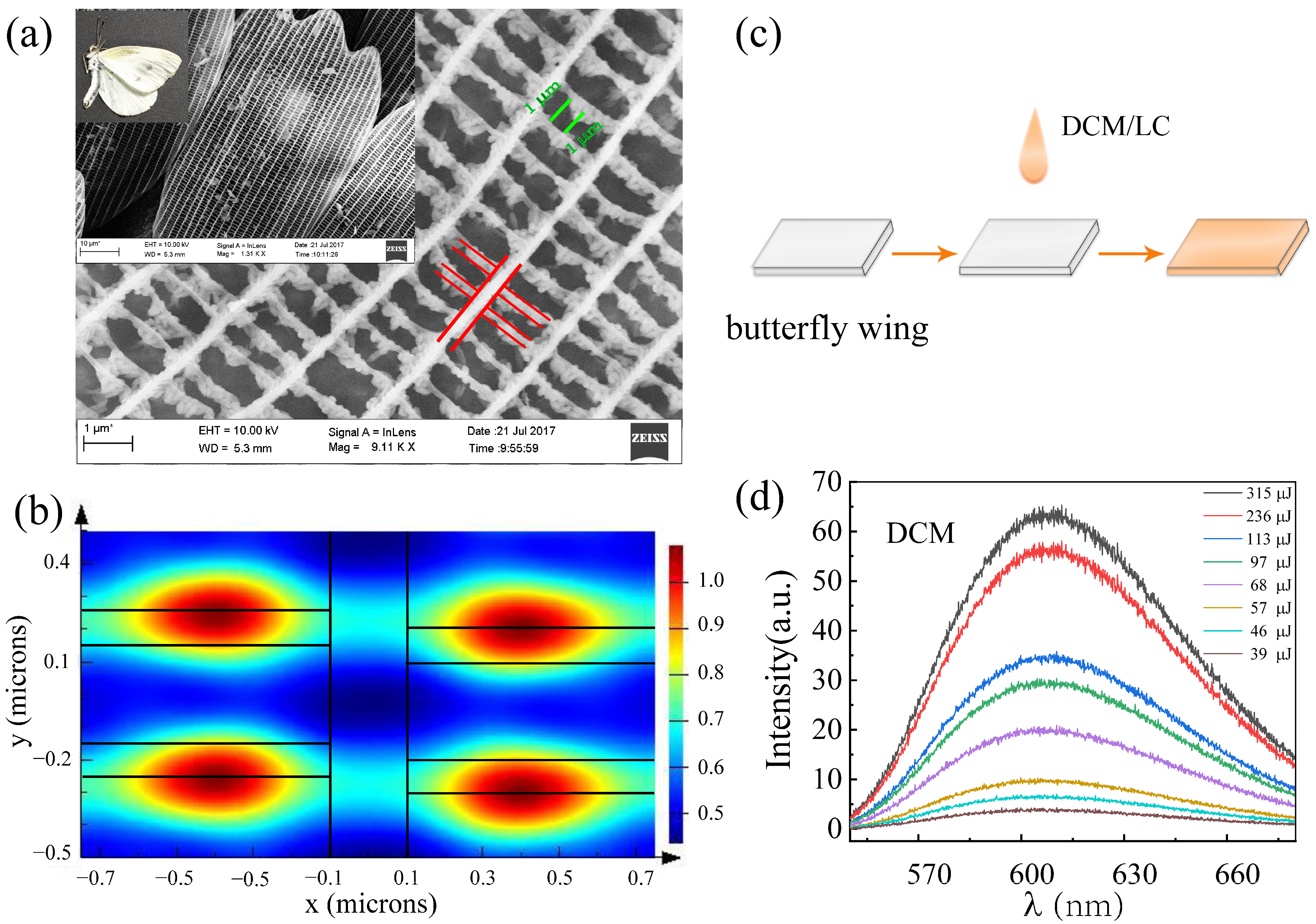 Materials 16 00200 g001