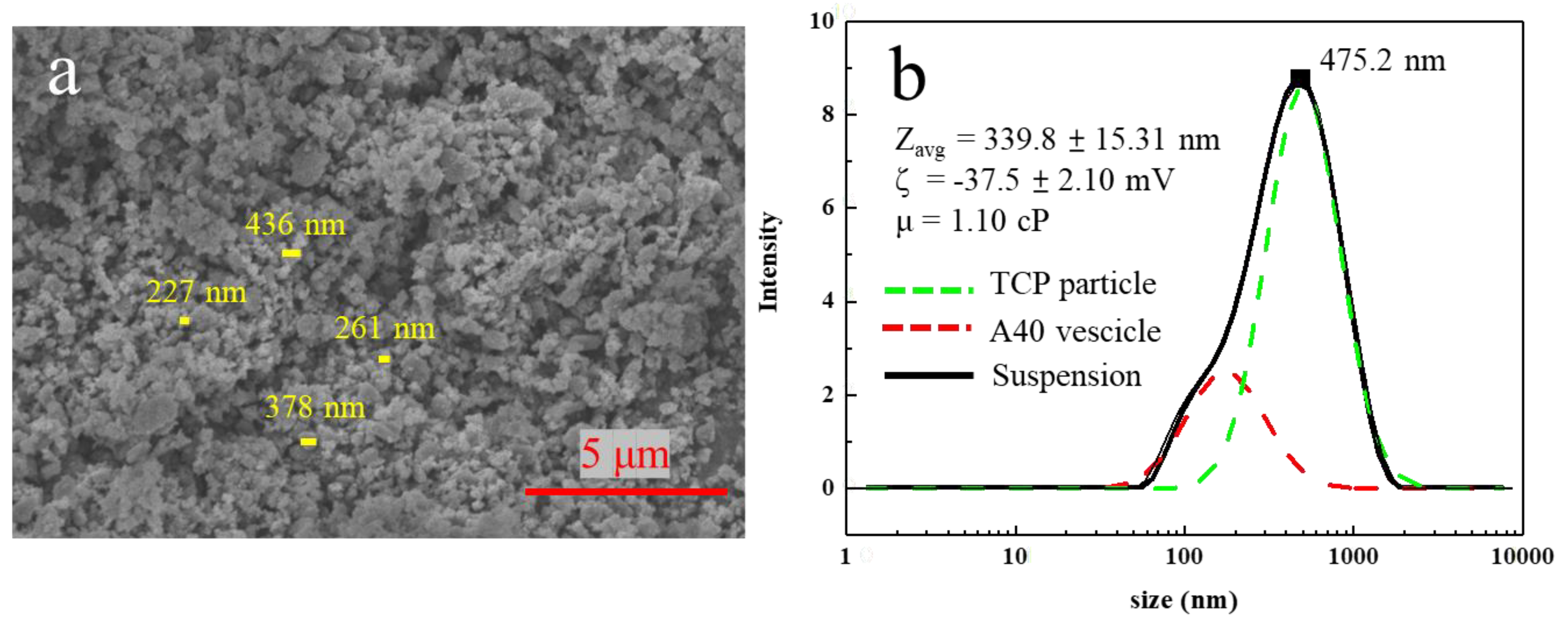 Materials 16 00228 g004 Materials 16 00228 g004