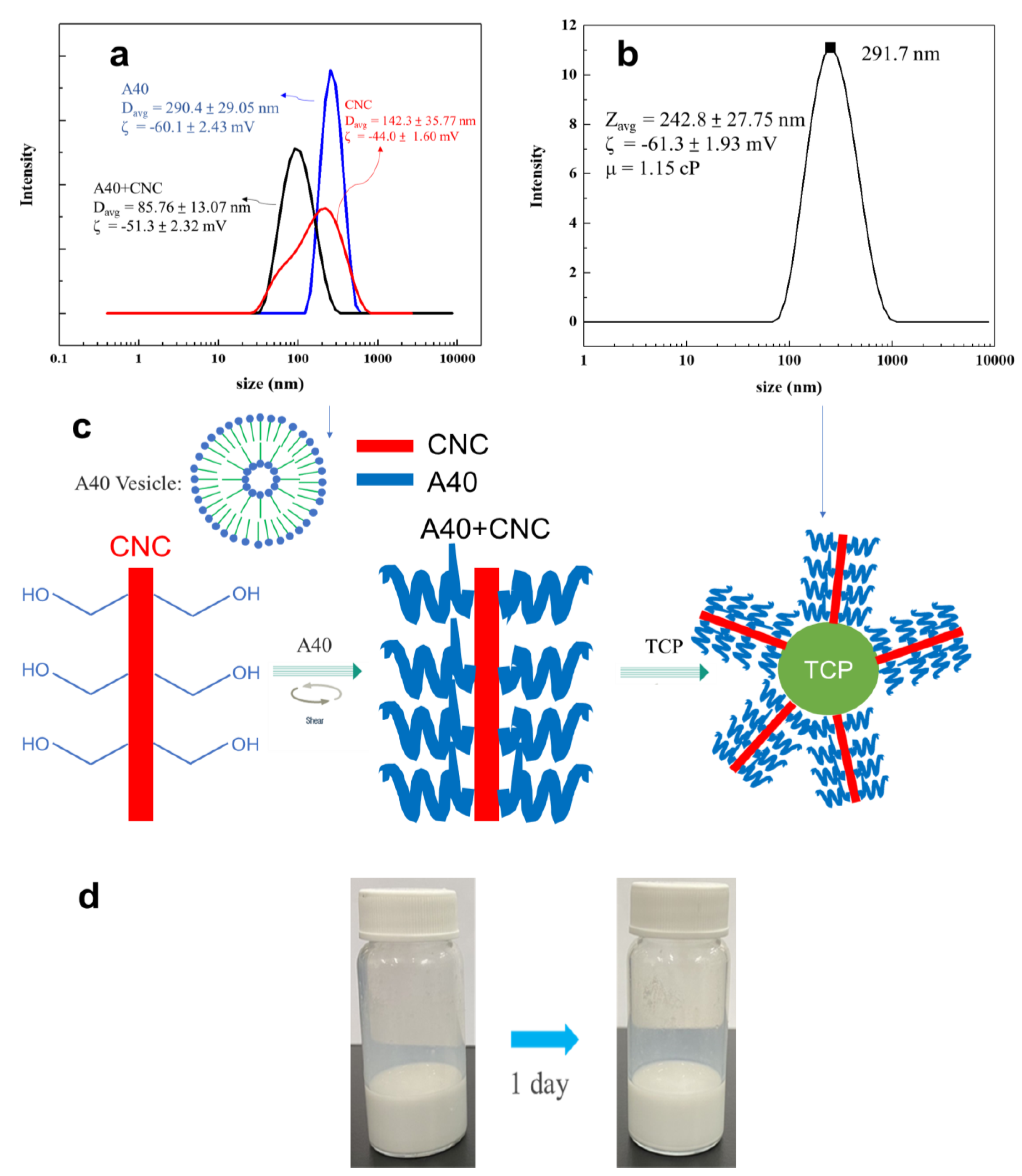 Materials 16 00228 g005 Materials 16 00228 g005