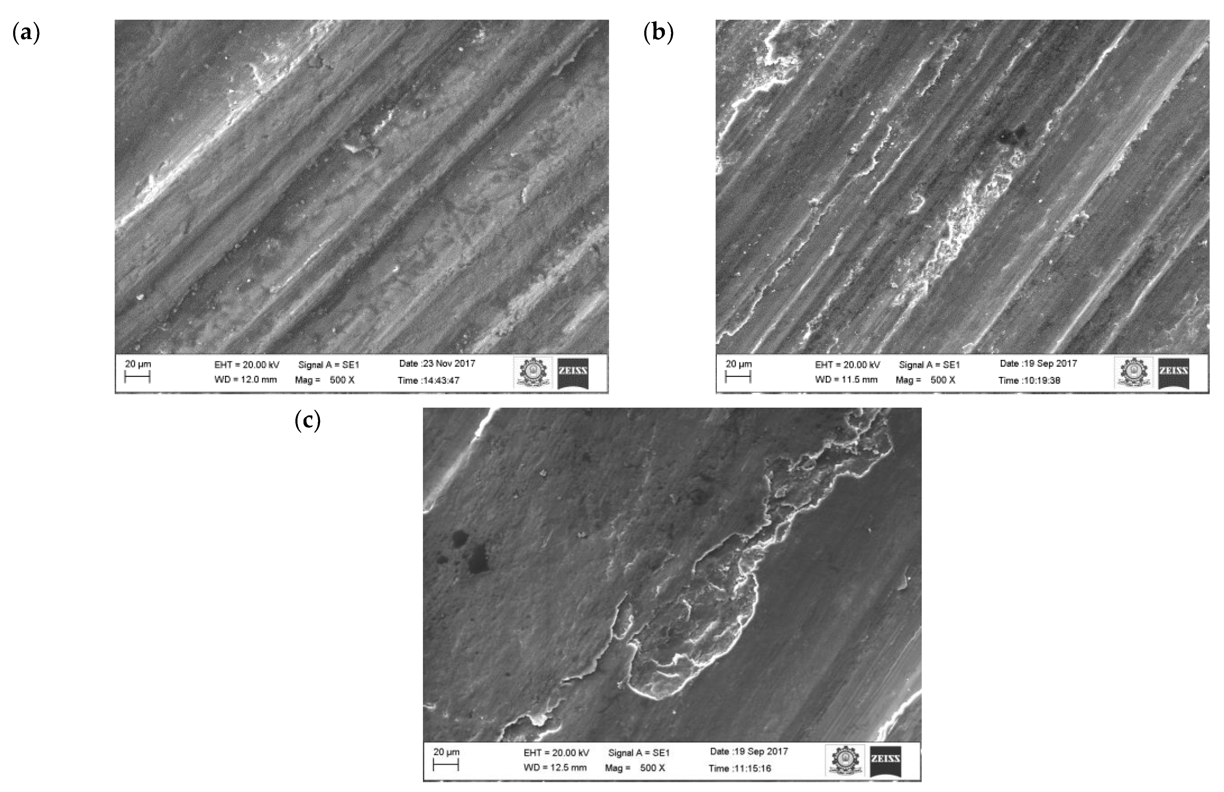 Materials 16 00259 g010 Materials 16 00259 g010