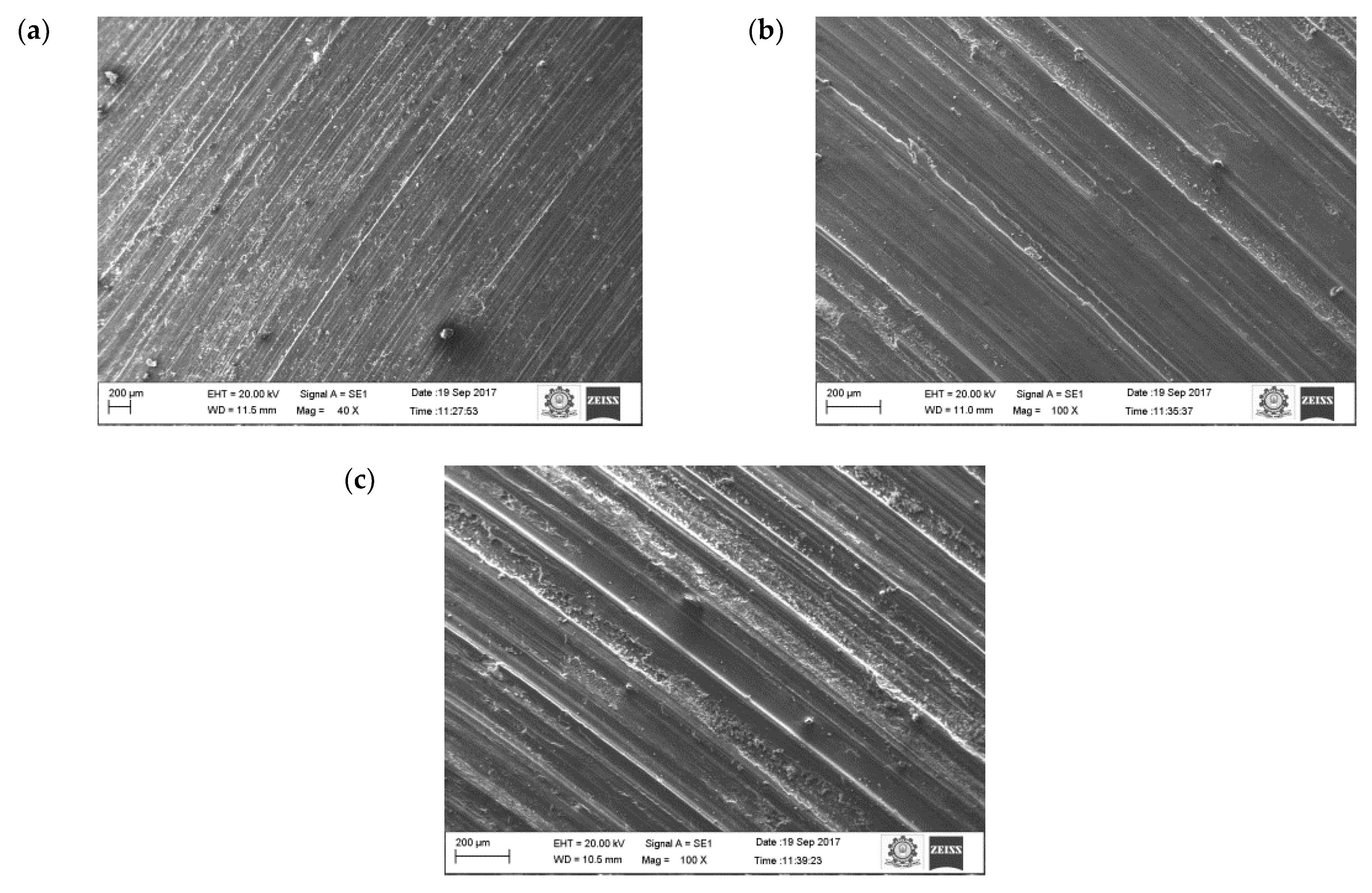 Materials 16 00259 g015 Materials 16 00259 g015
