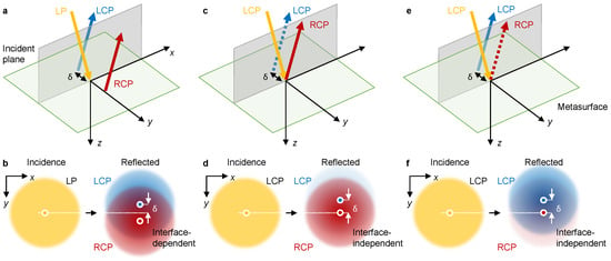 Reflection coefficients of p- and s-polarized light by a quarter