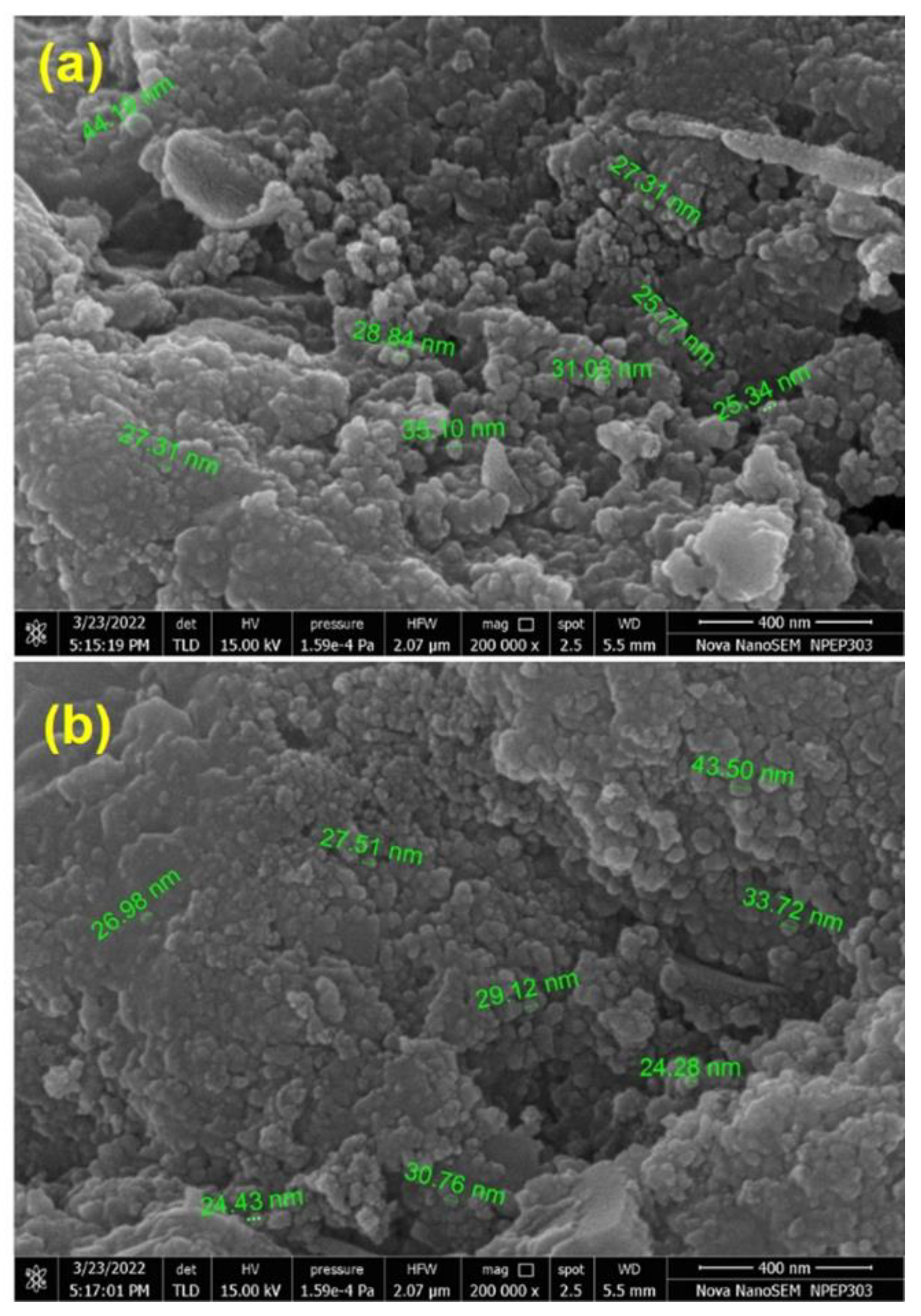 Materials 16 00299 g002