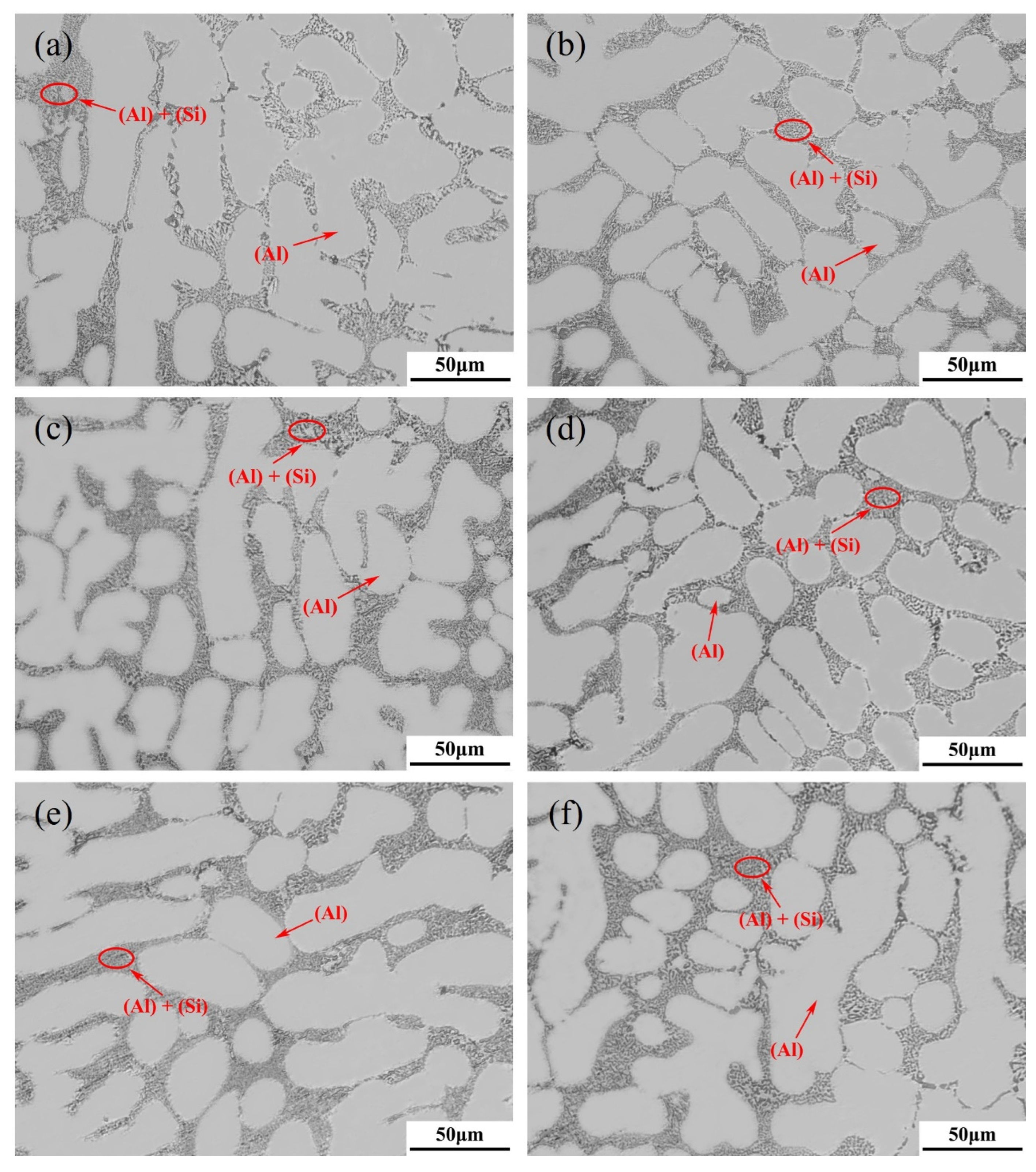 Materials 16 00306 g008 Materials 16 00306 g008