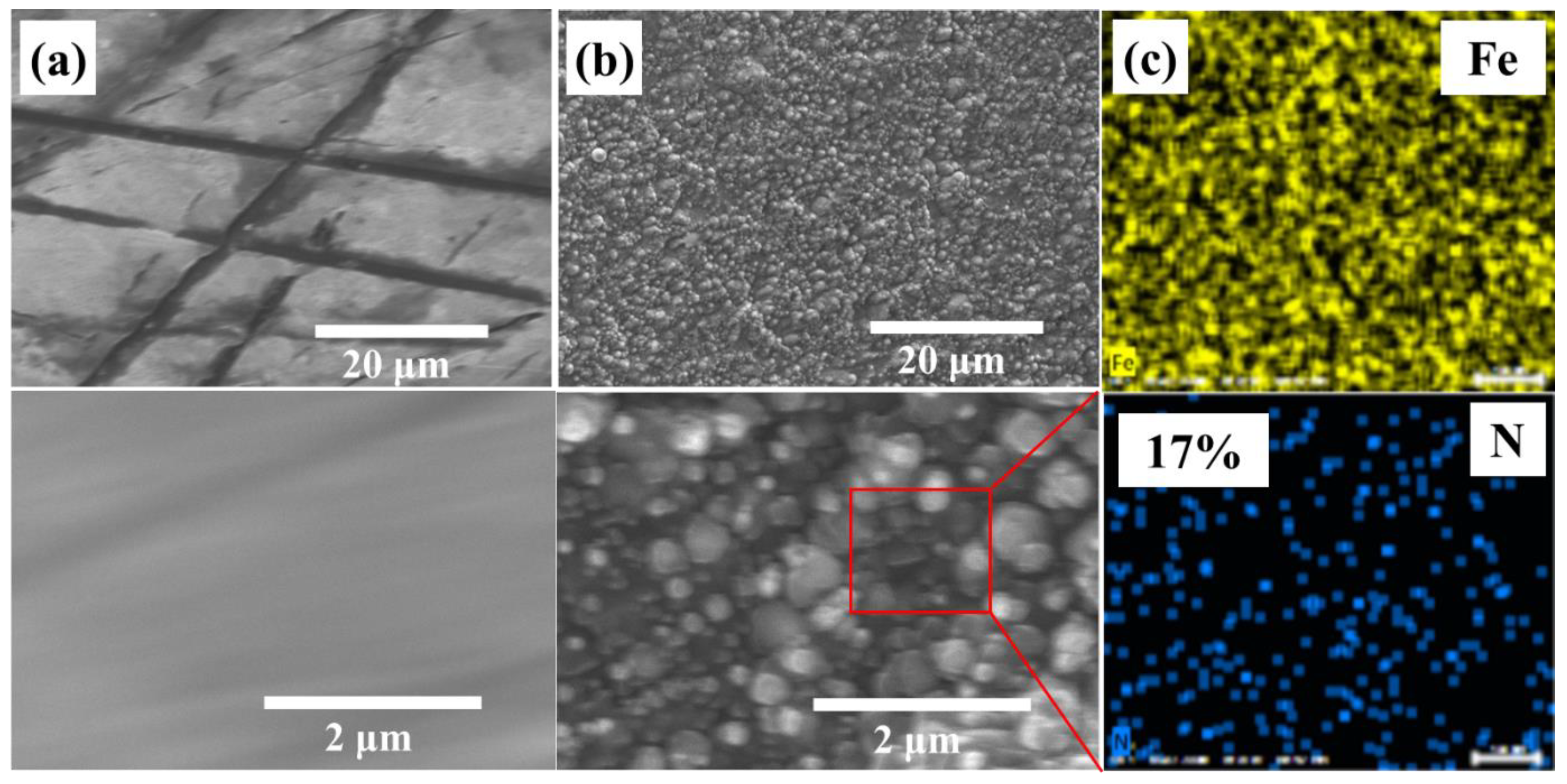 Materials 16 00311 g003a Materials 16 00311 g003a