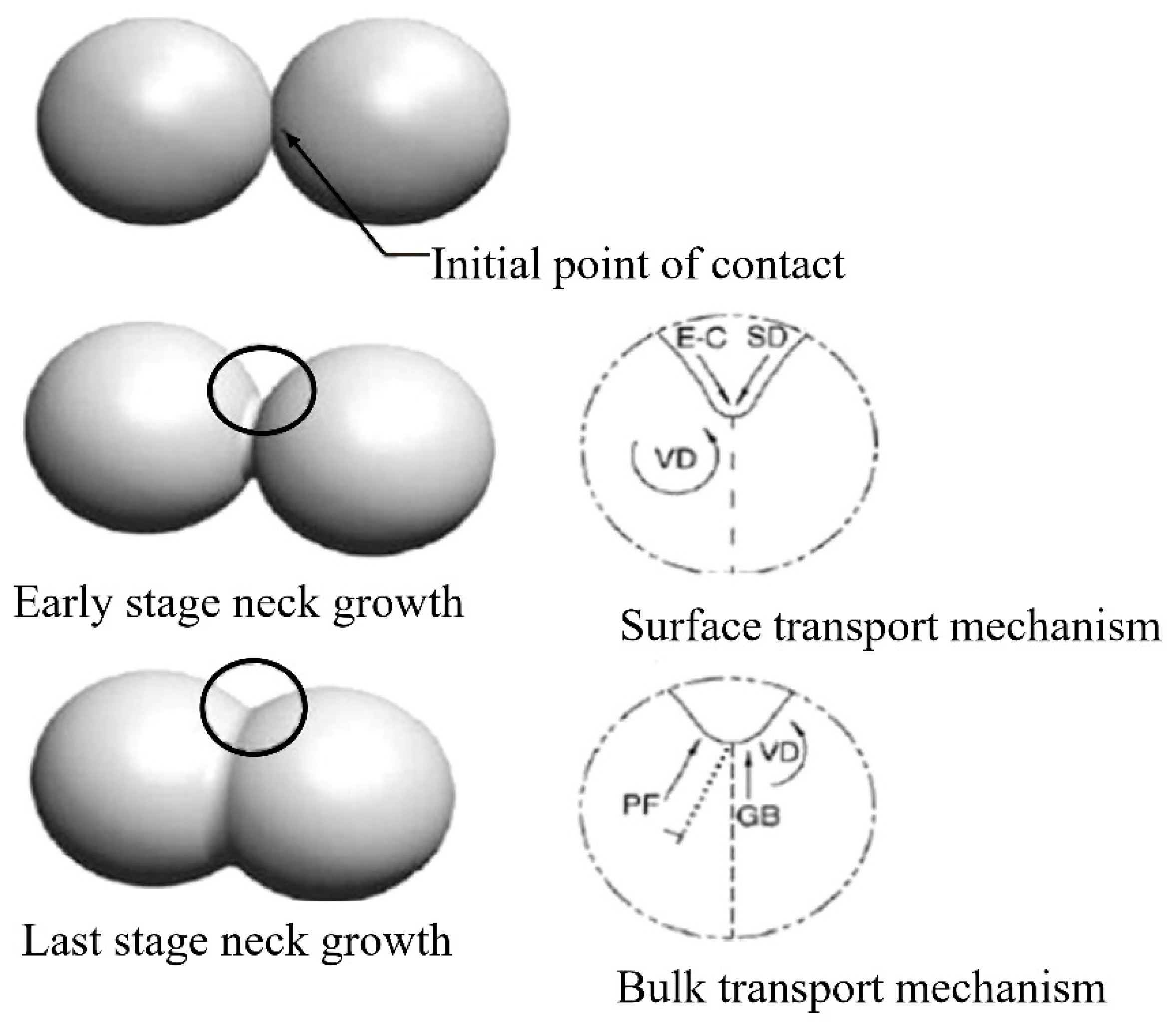 Materials 16 00379 g015