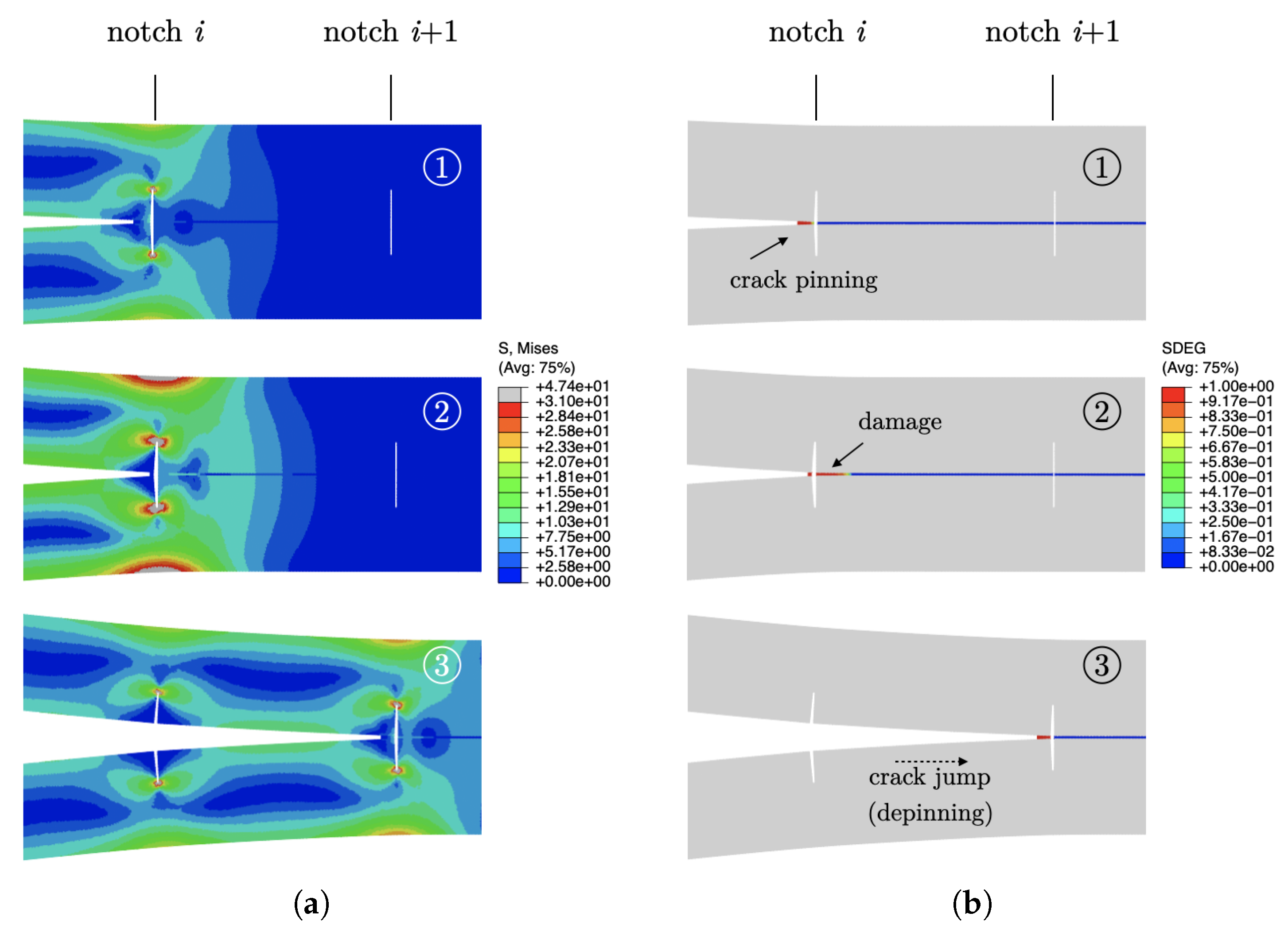 Materials 16 00391 g005