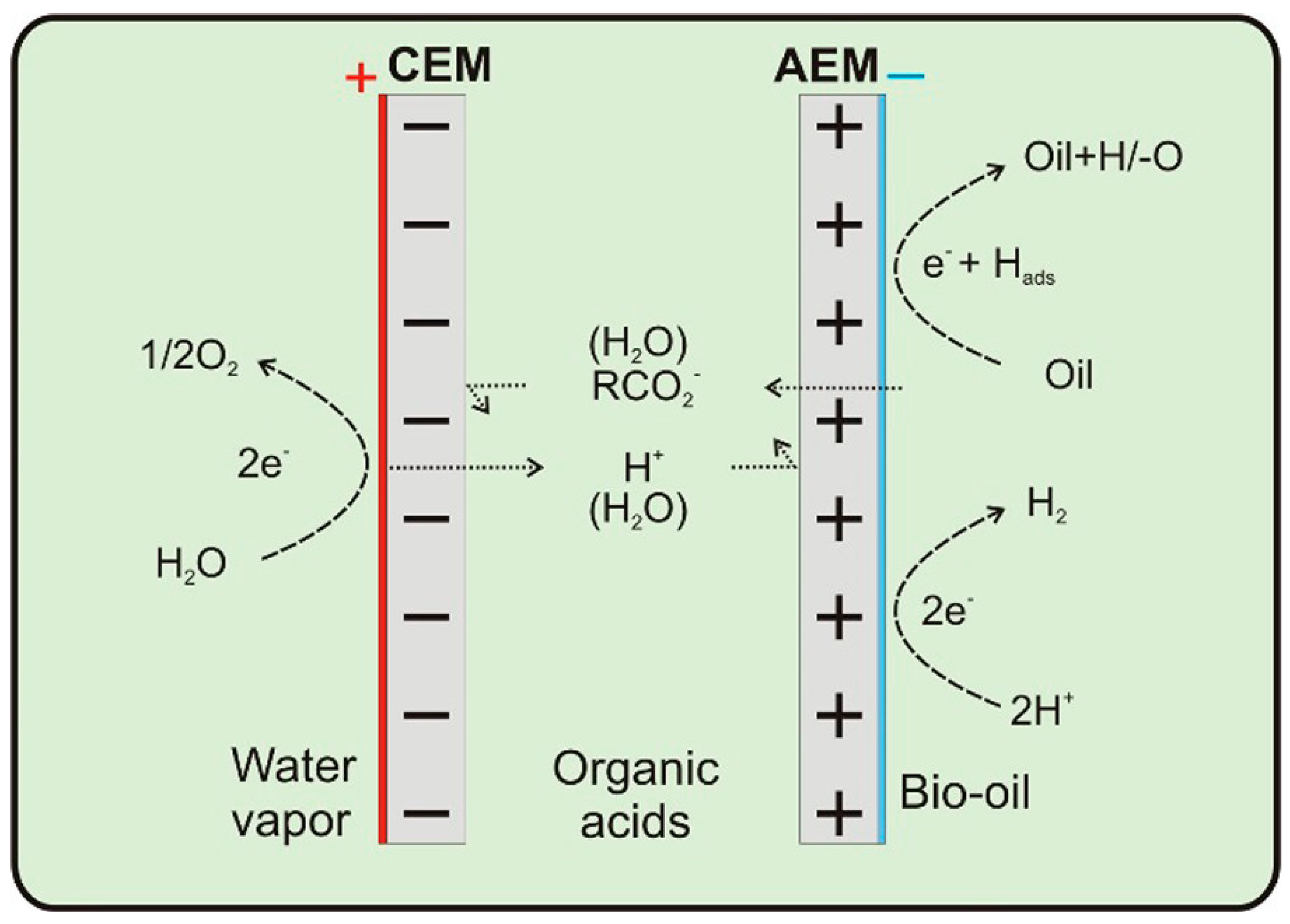 Materials 16 00394 g015