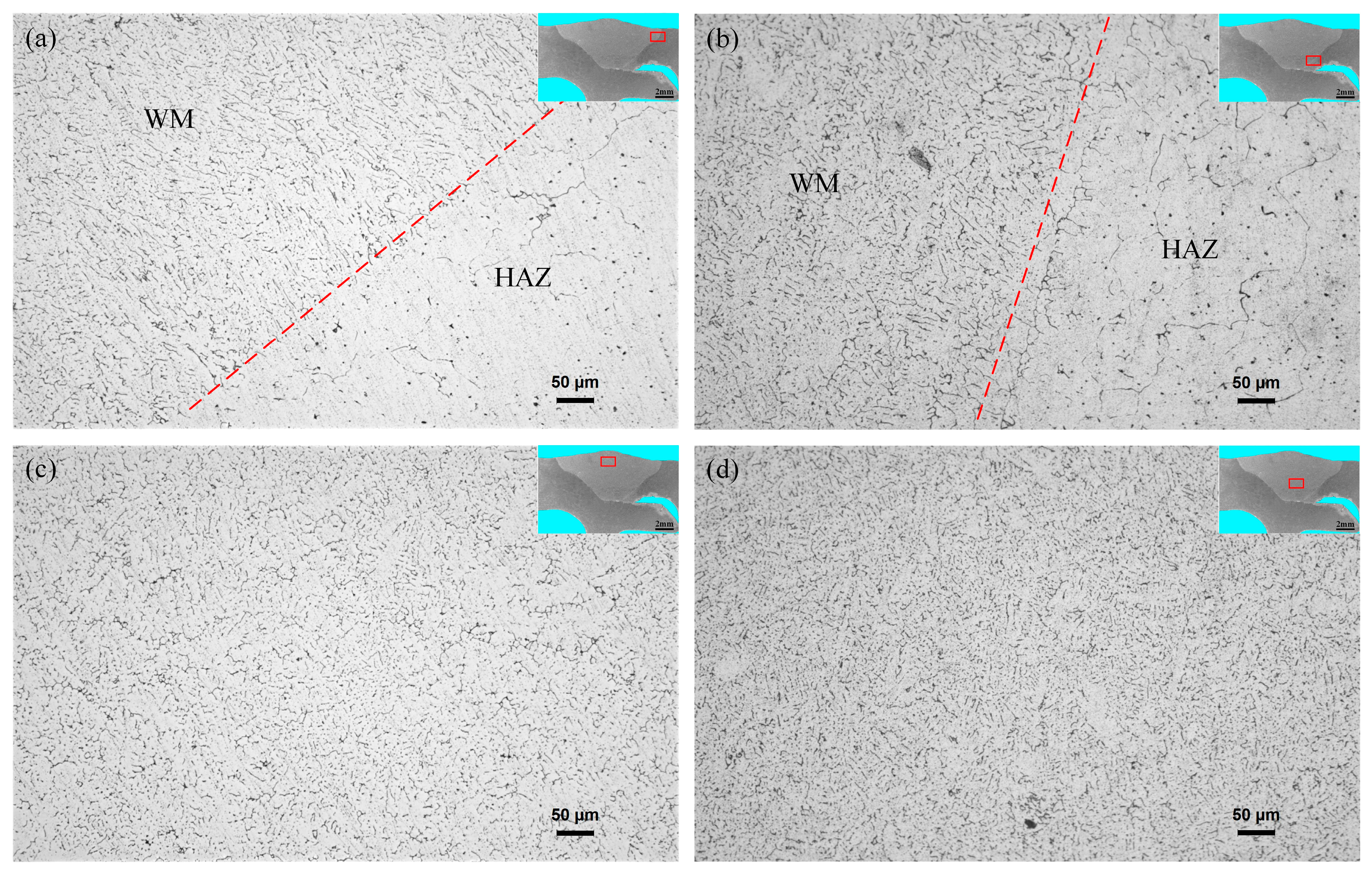 Materials 16 00404 g005