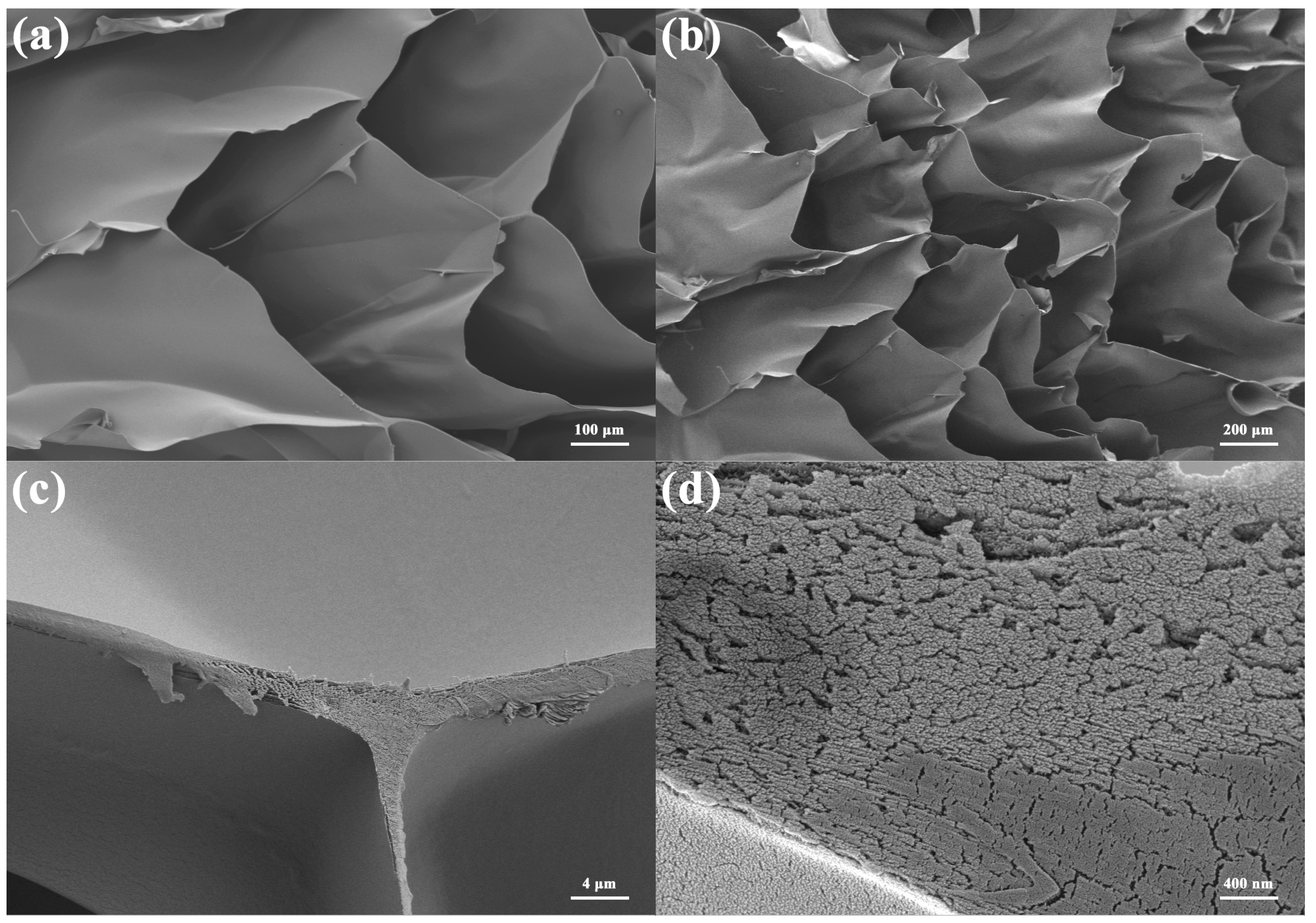 Materials 16 00411 g002