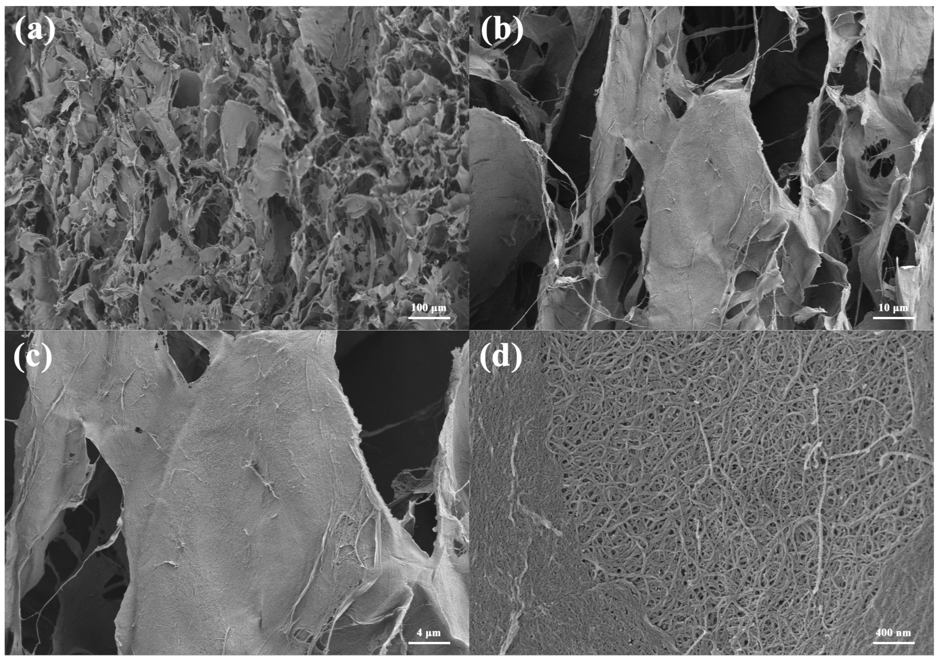 Materials 16 00411 g003