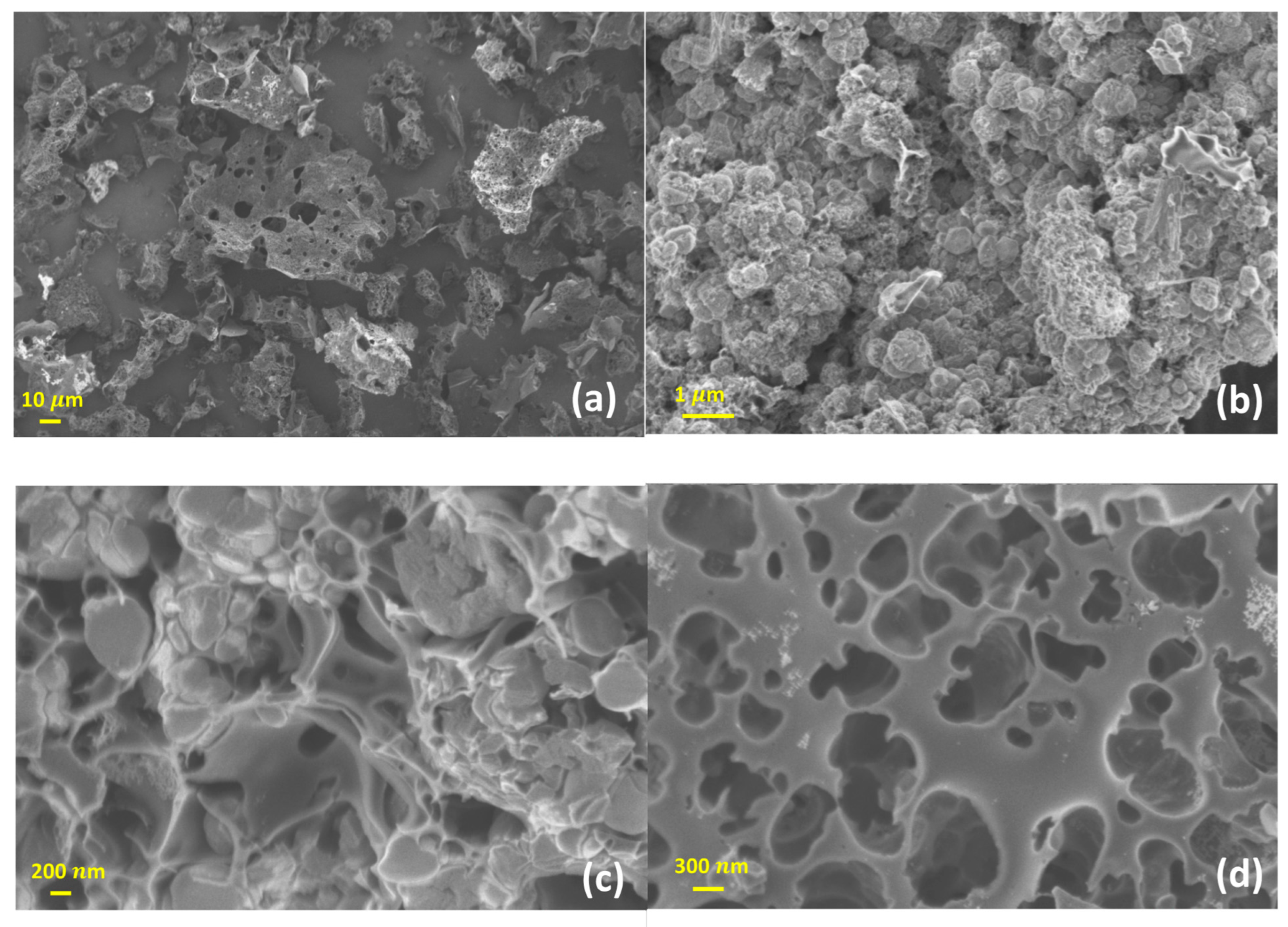 Materials 16 00455 g004