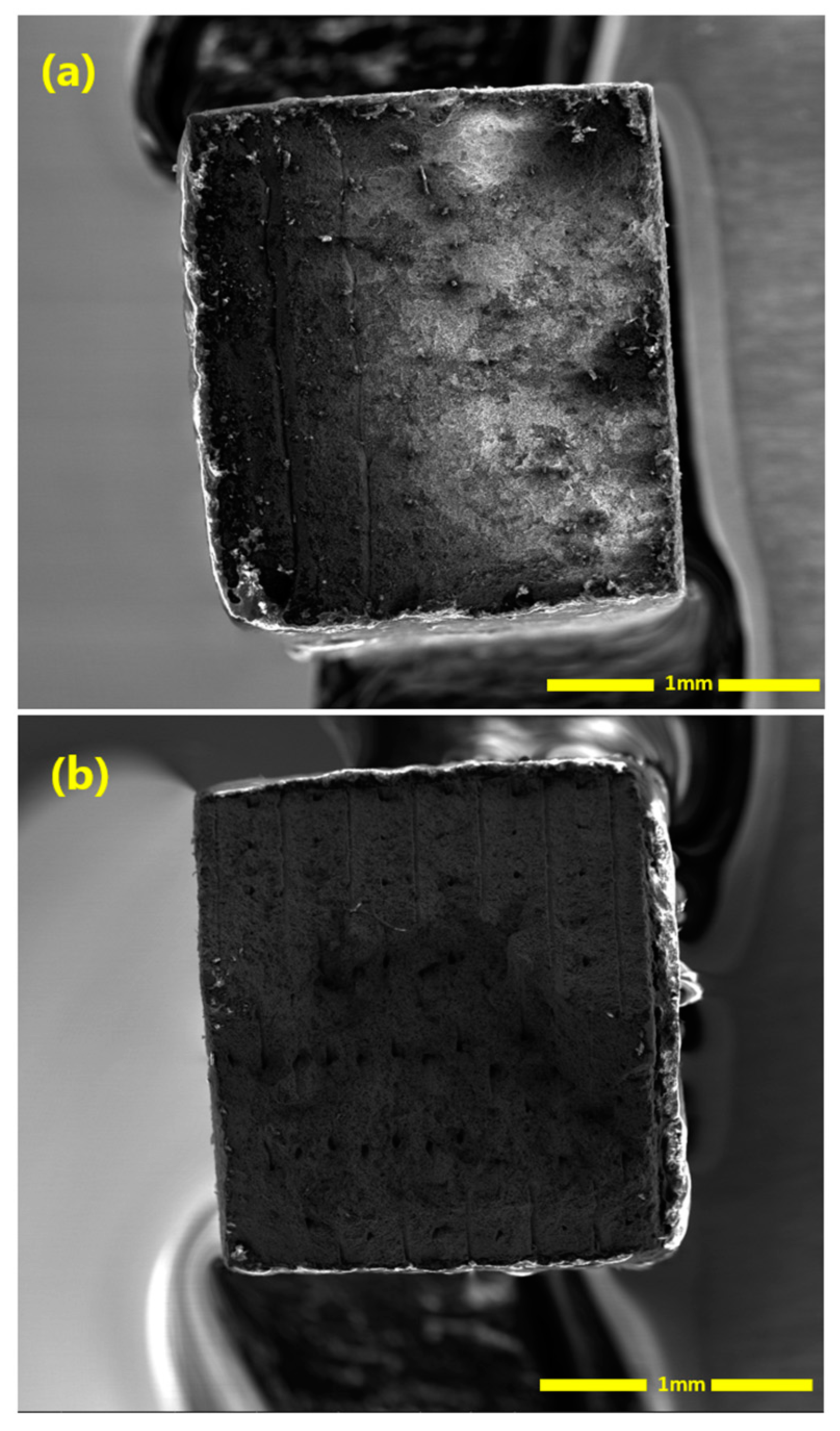 Materials 16 00469 g010