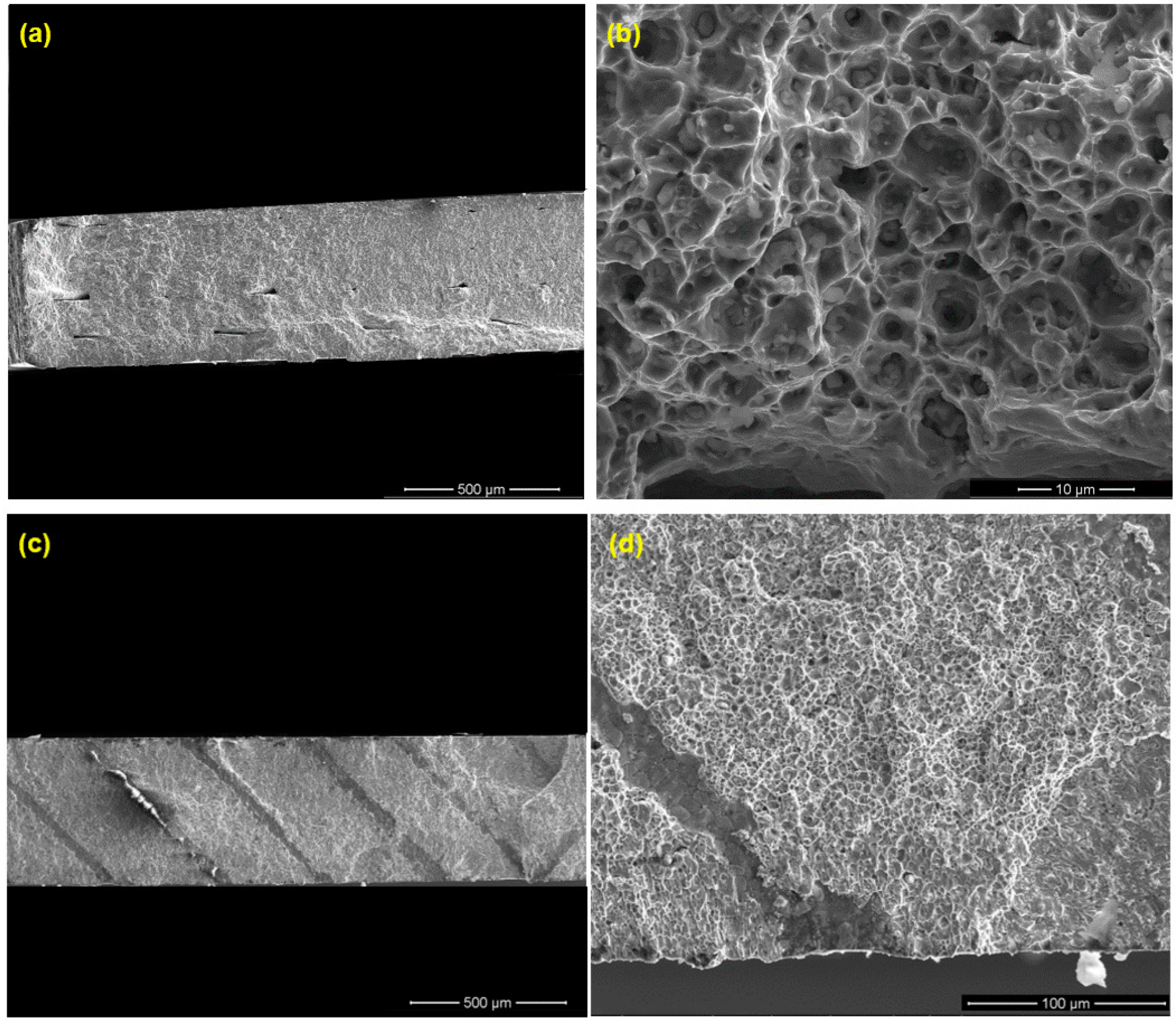 Materials 16 00469 g015