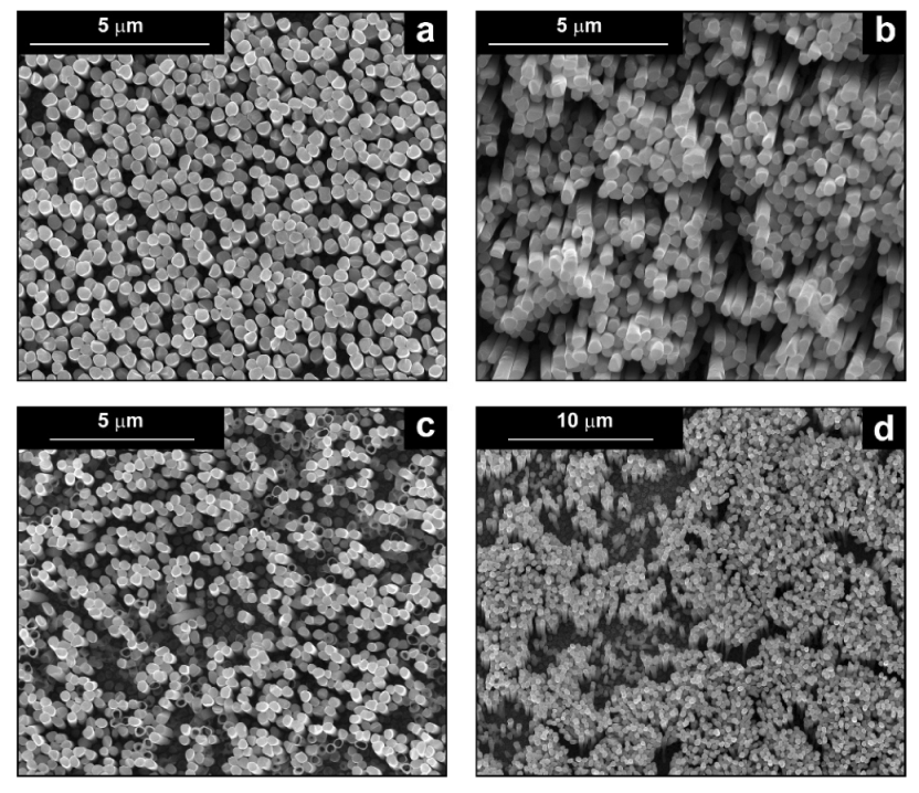 Materials 16 00474 g003 Materials 16 00474 g003