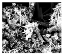 Materials 16 00474 i004 Materials 16 00474 i004