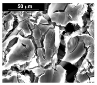 Materials 16 00474 i009 Materials 16 00474 i009