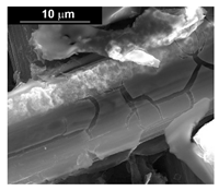 Materials 16 00474 i012 Materials 16 00474 i012