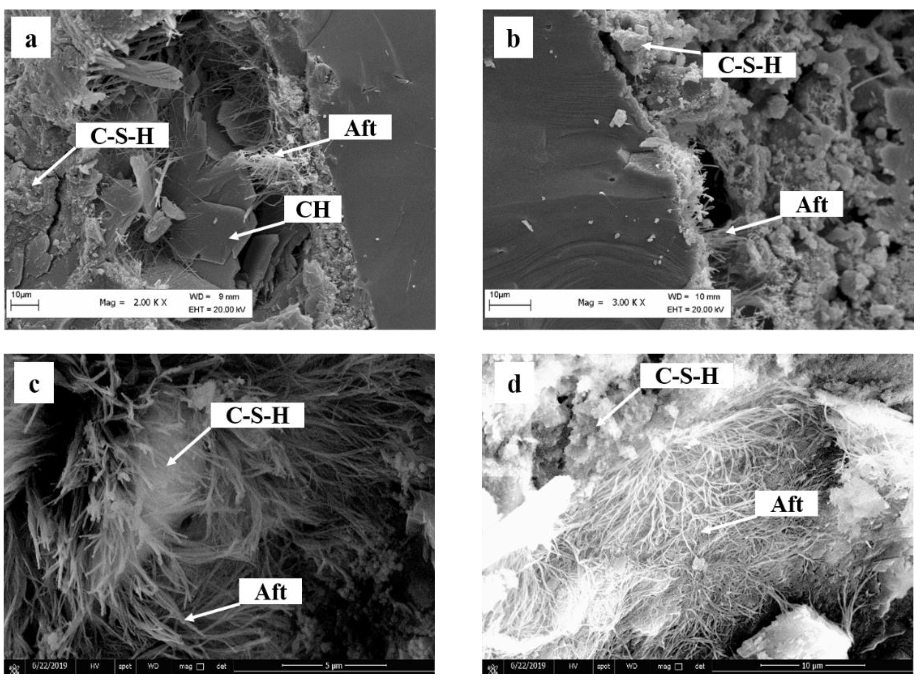 Materials 16 00497 g005
