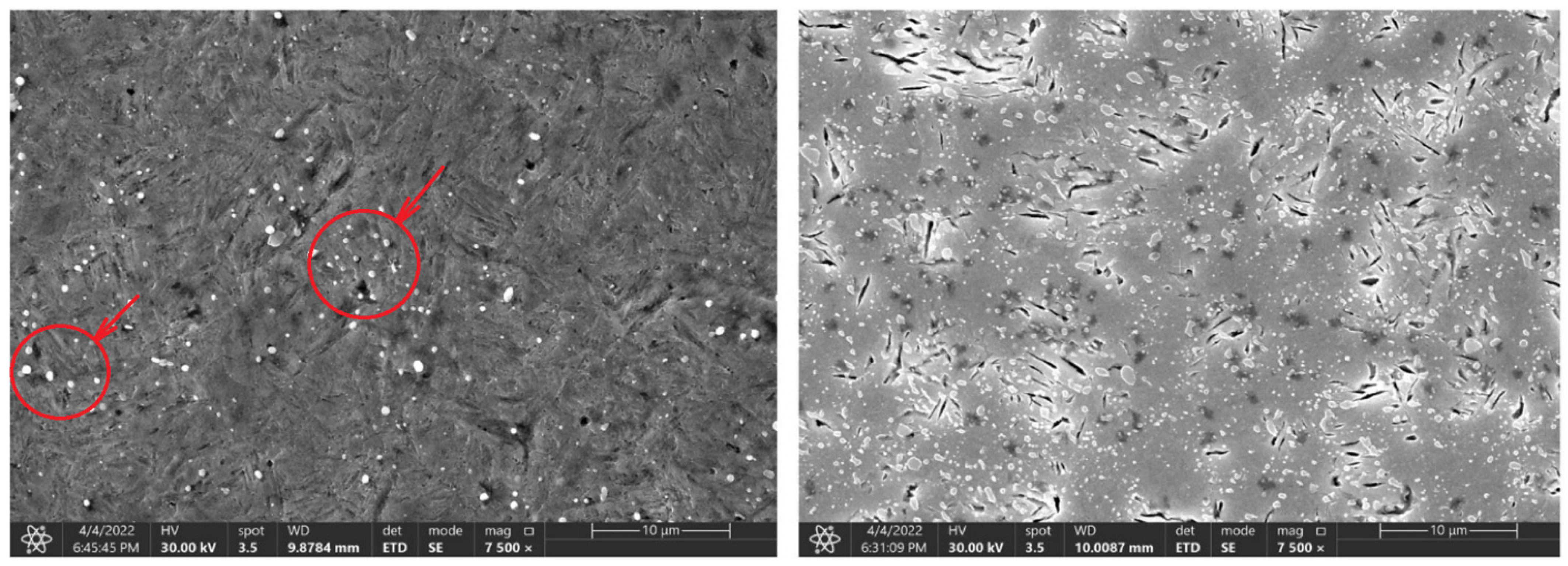 Materials 16 00518 g010