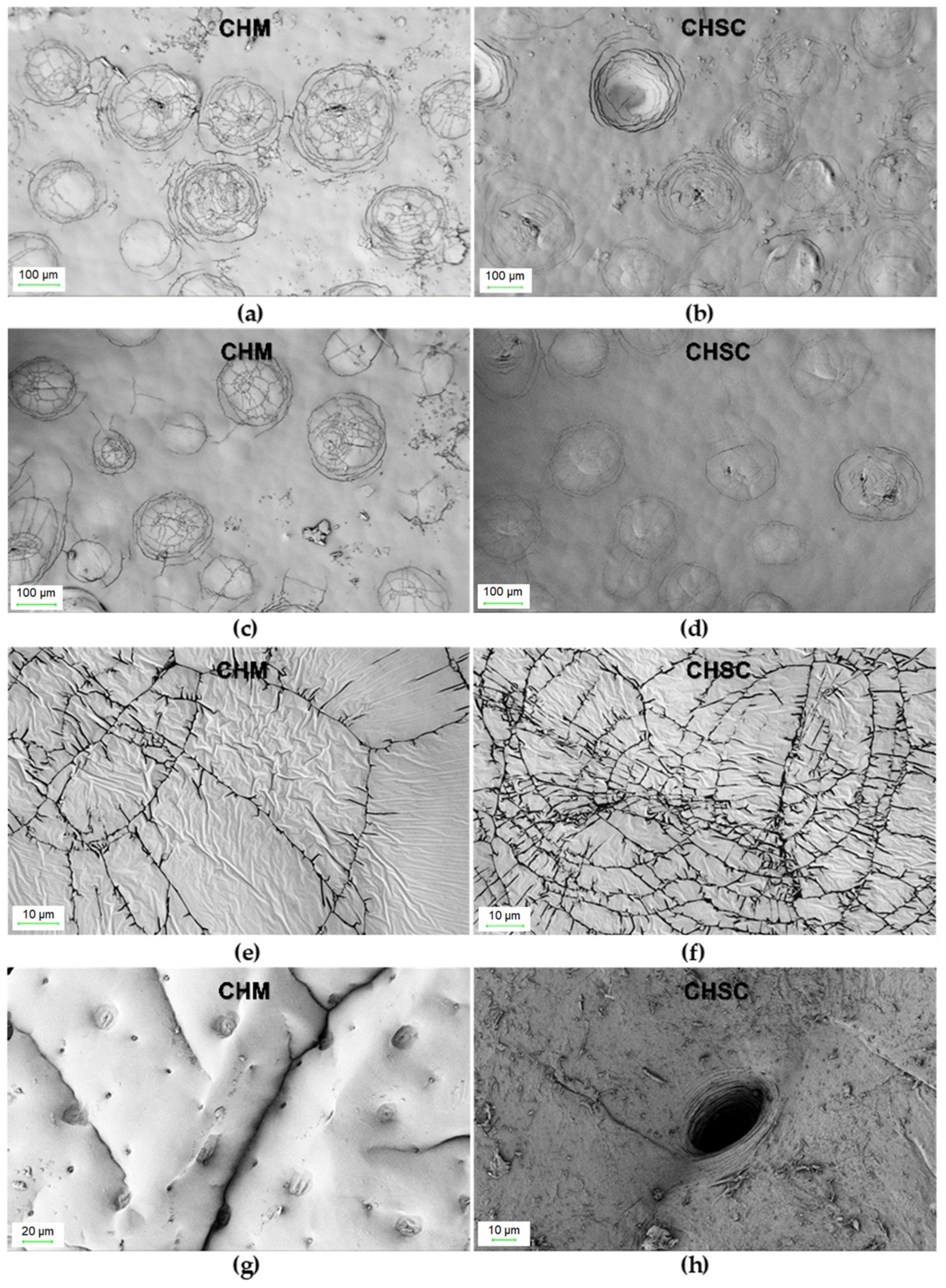 Materials 16 00545 g002 Materials 16 00545 g002