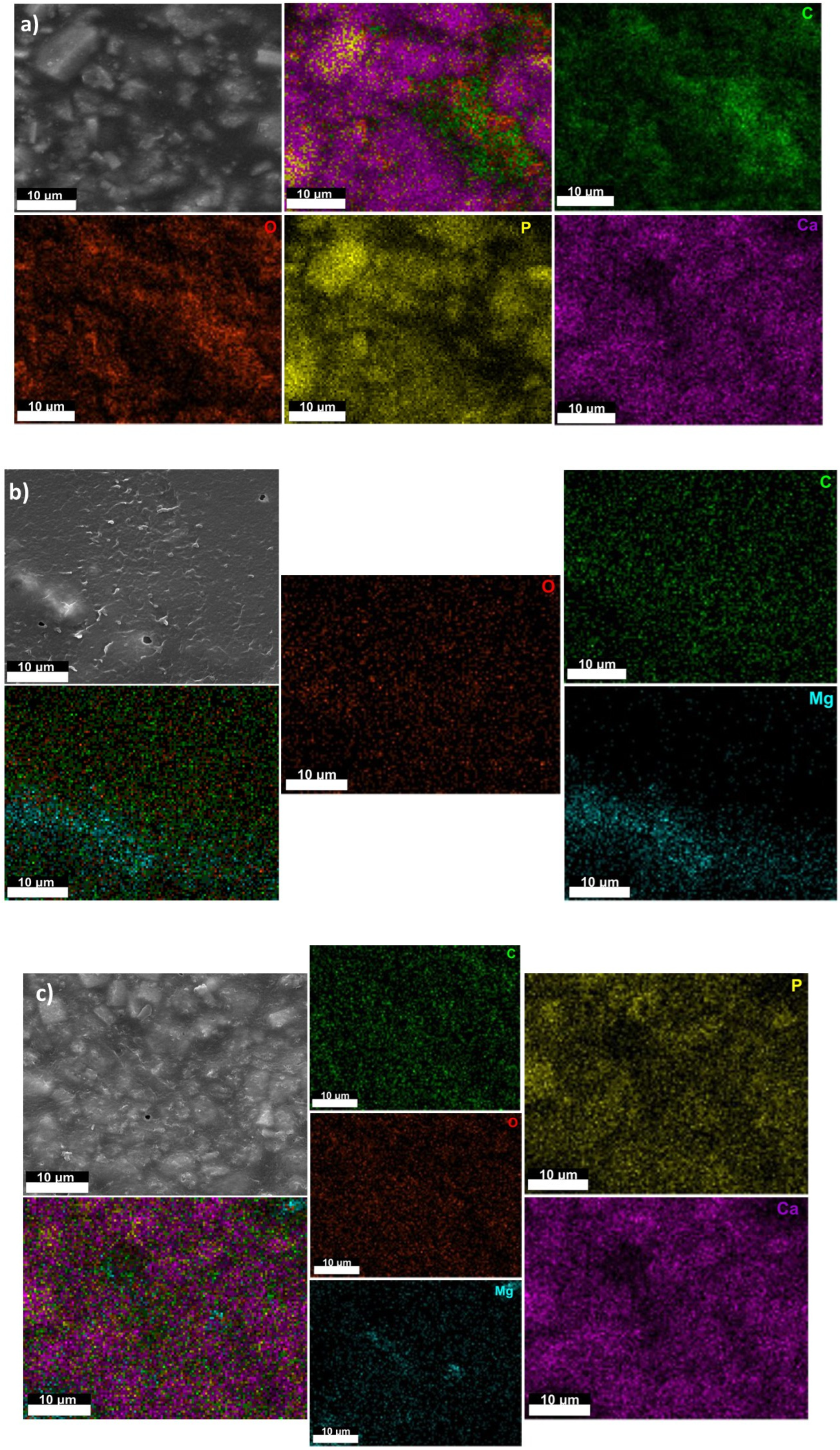 Materials 16 00554 g004