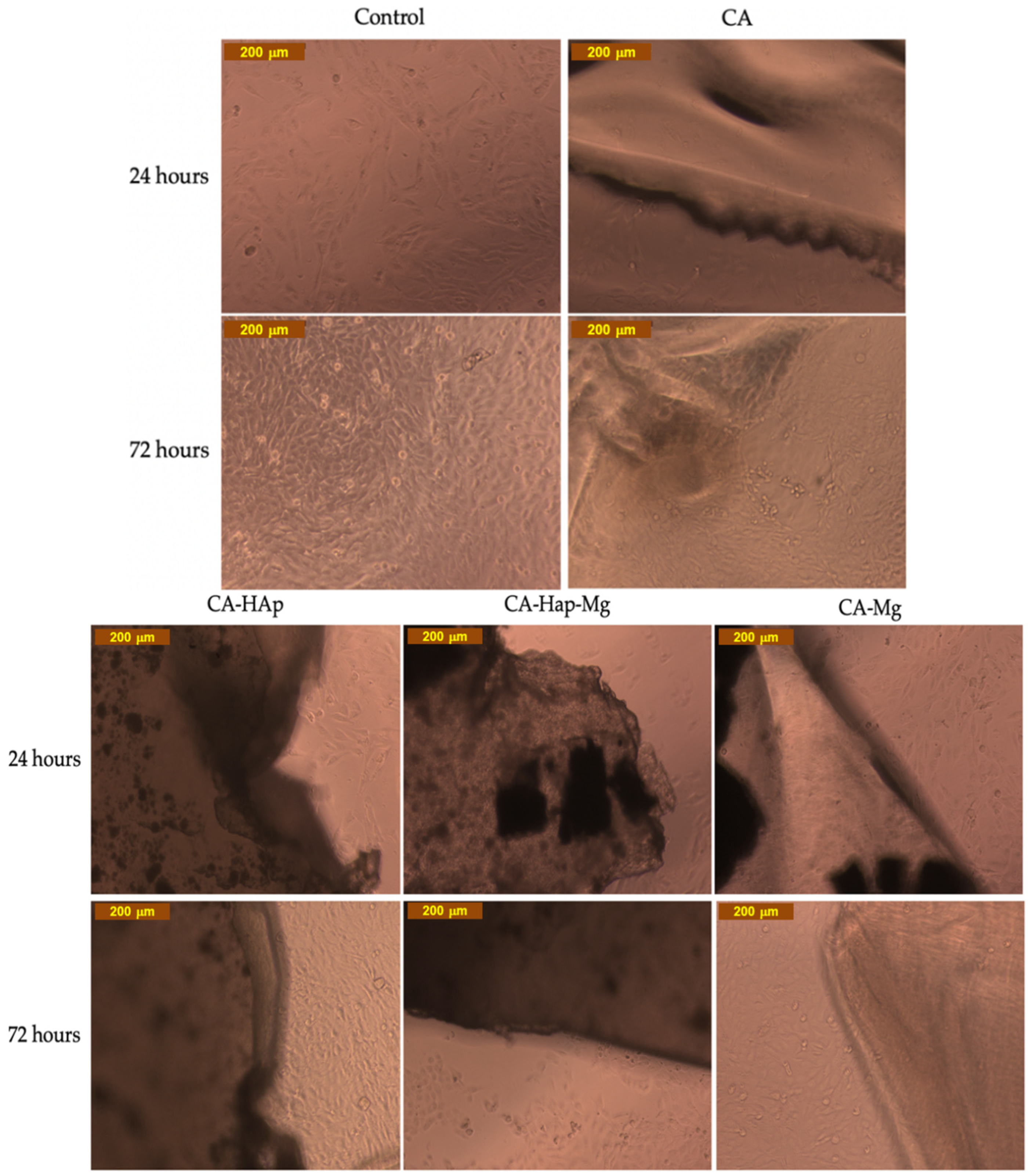 Materials 16 00554 g014