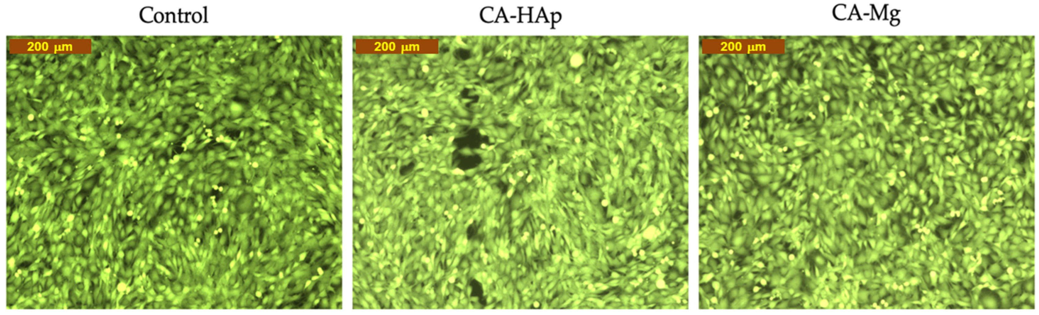 Materials 16 00554 g015