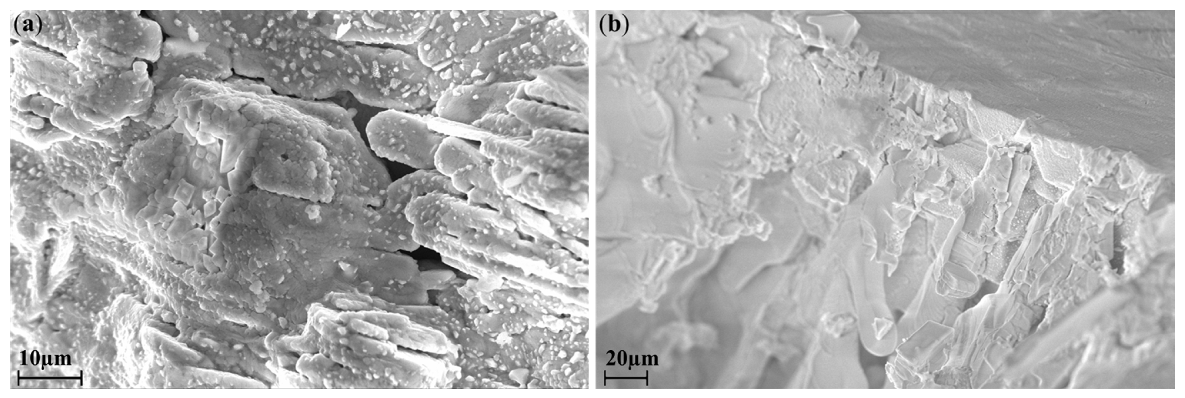 Materials 16 00559 g003