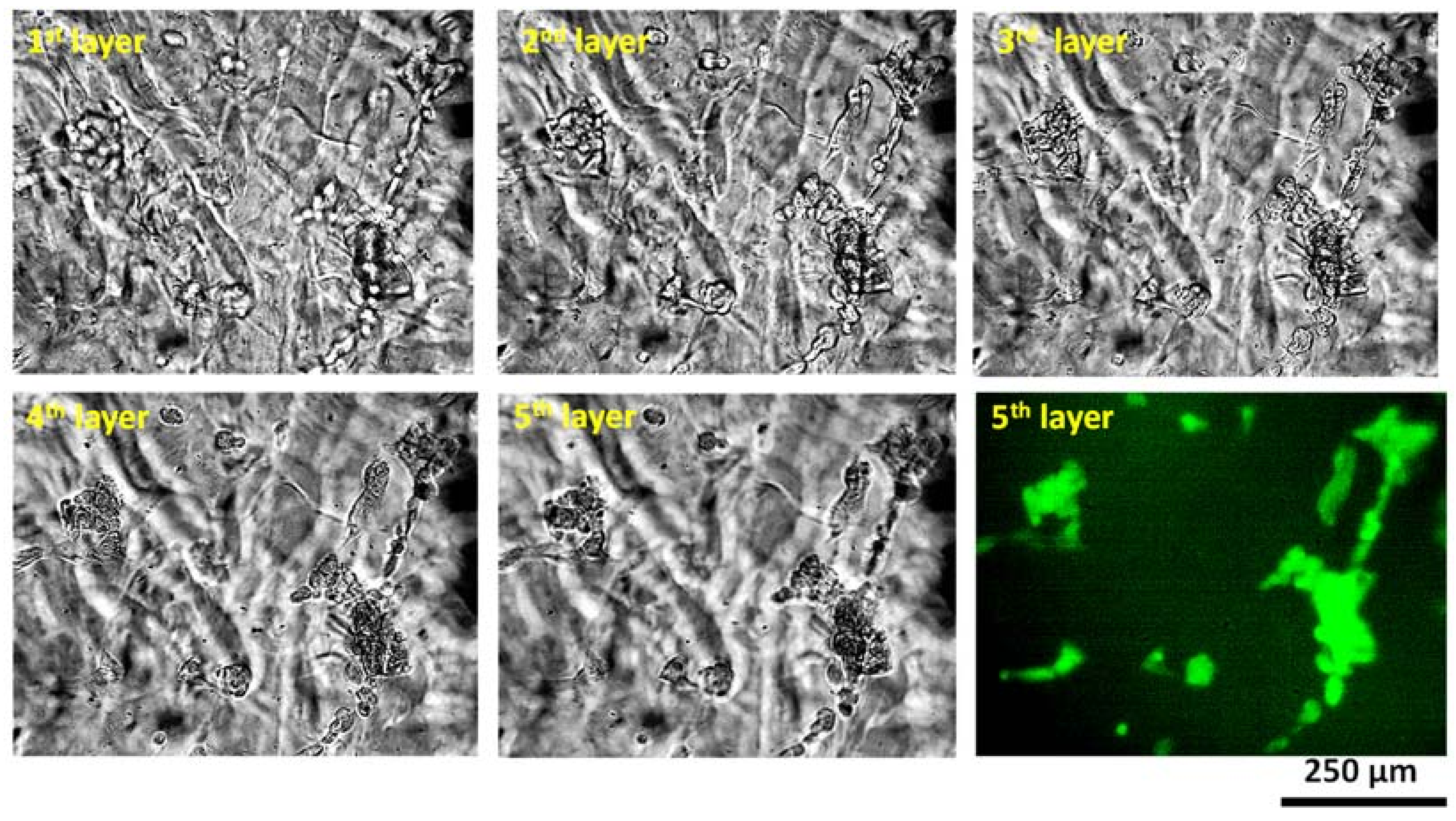 Materials 16 00572 g018