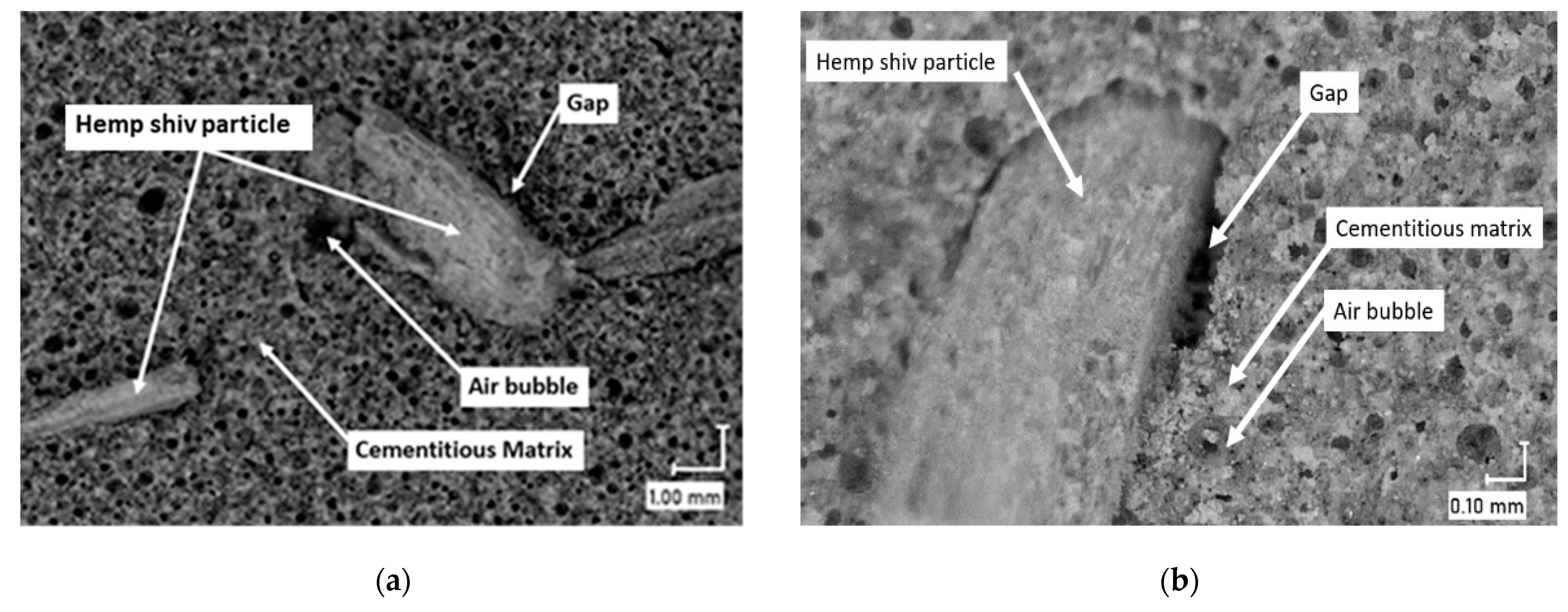 Materials 16 00591 g004 Materials 16 00591 g004