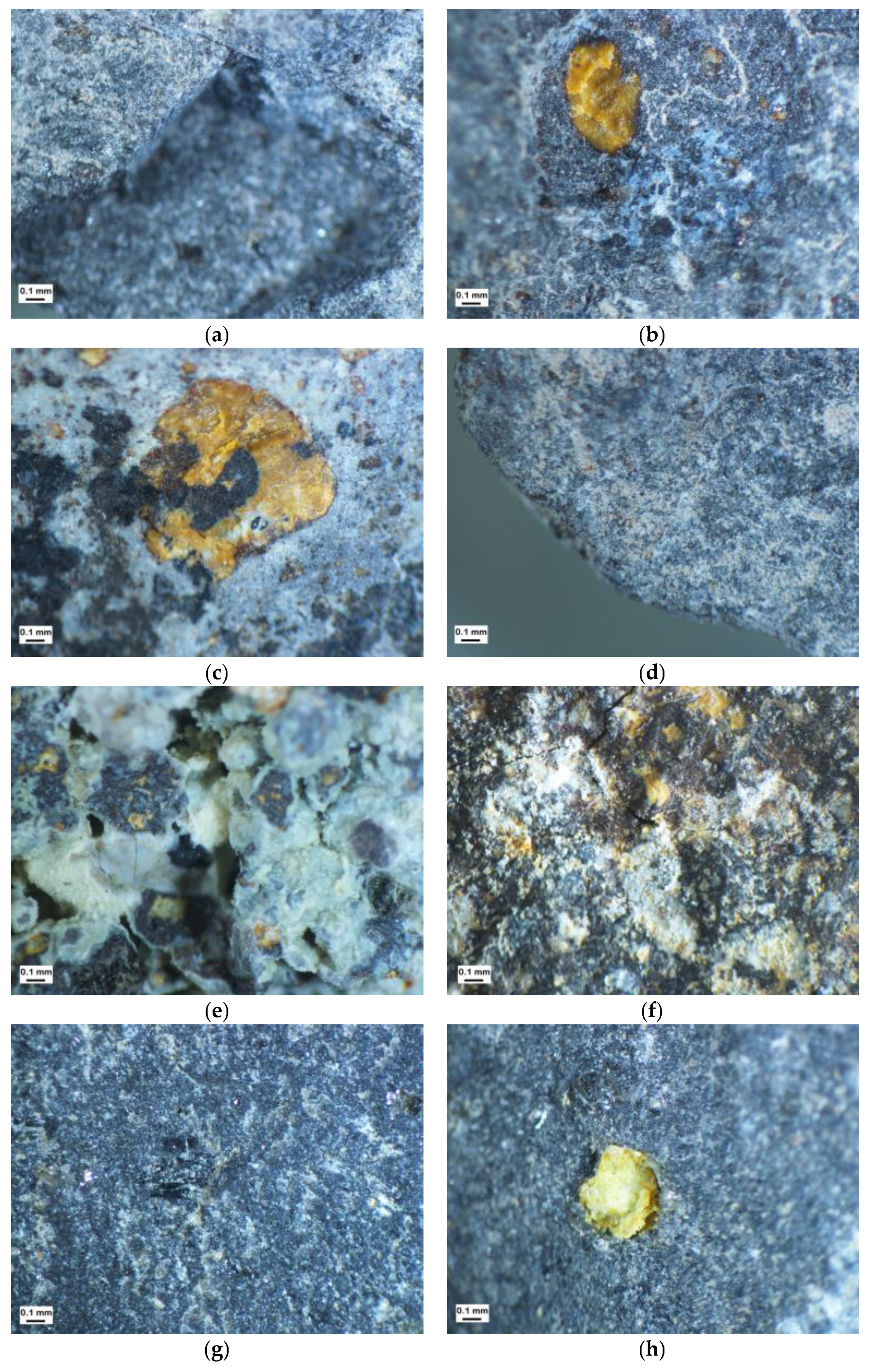 Materials 16 00602 g009