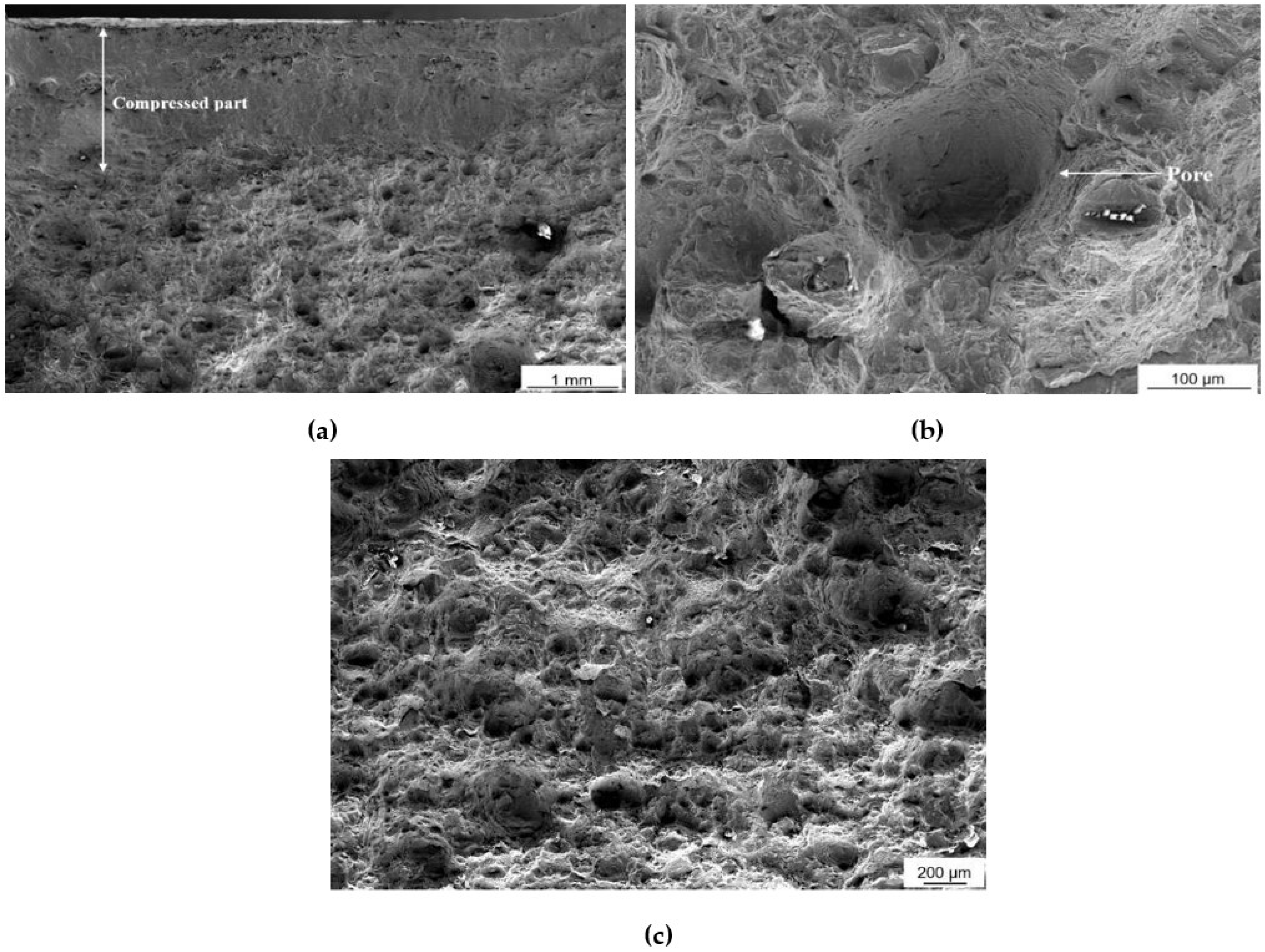 Materials 16 00663 g003 Materials 16 00663 g003