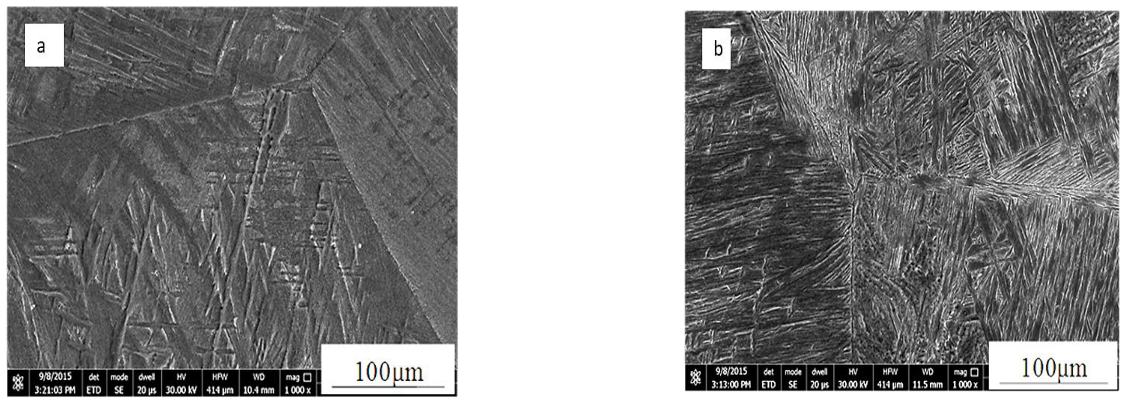 Materials 16 00688 g006