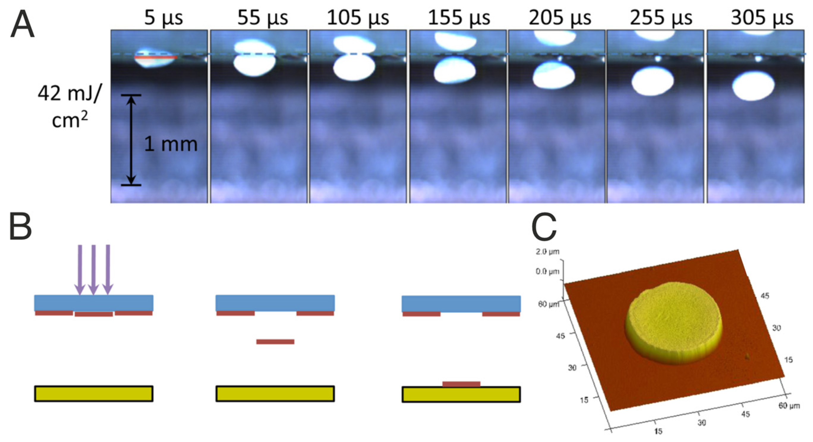 Materials 16 00698 g003