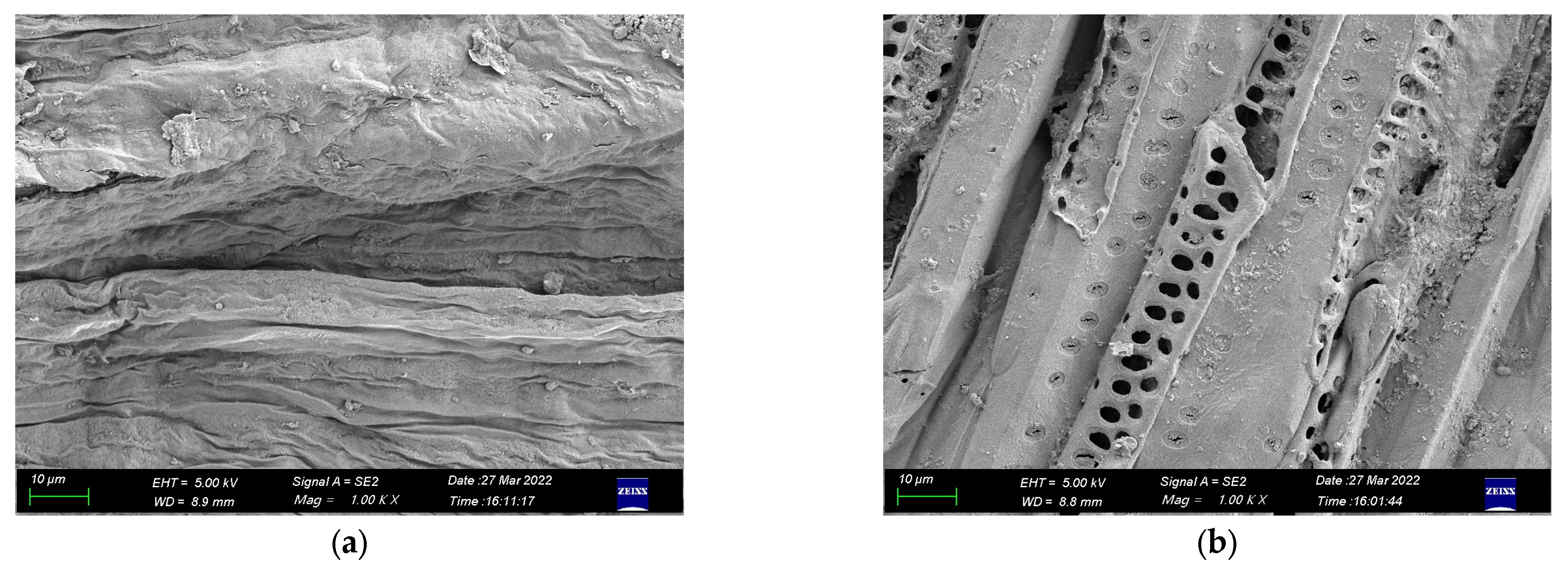 Materials 16 00719 g003