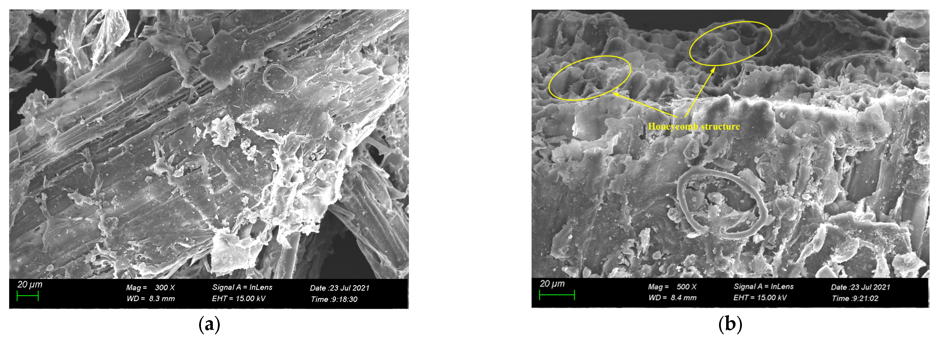 Materials 16 00719 g004