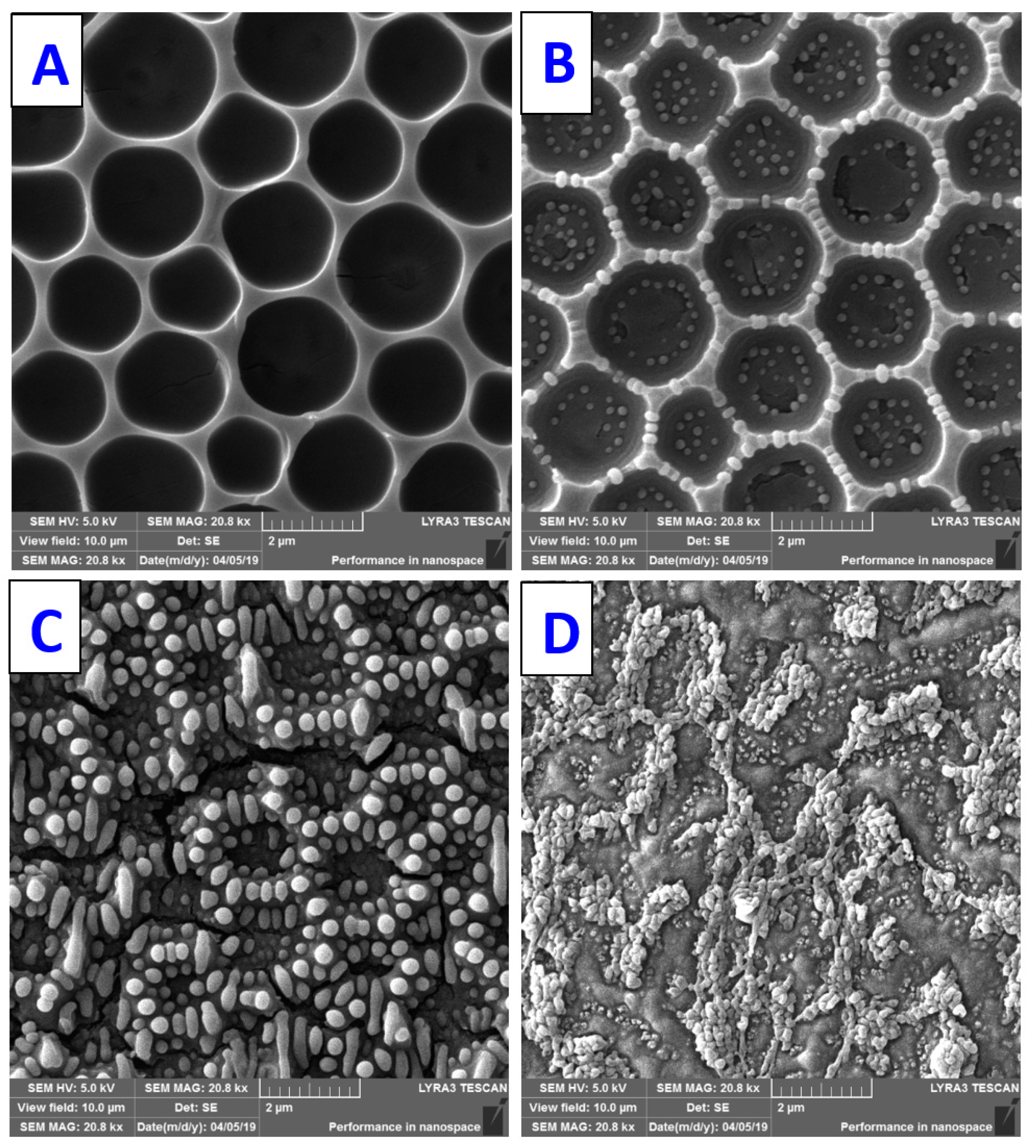 Materials 16 00772 g011 Materials 16 00772 g011