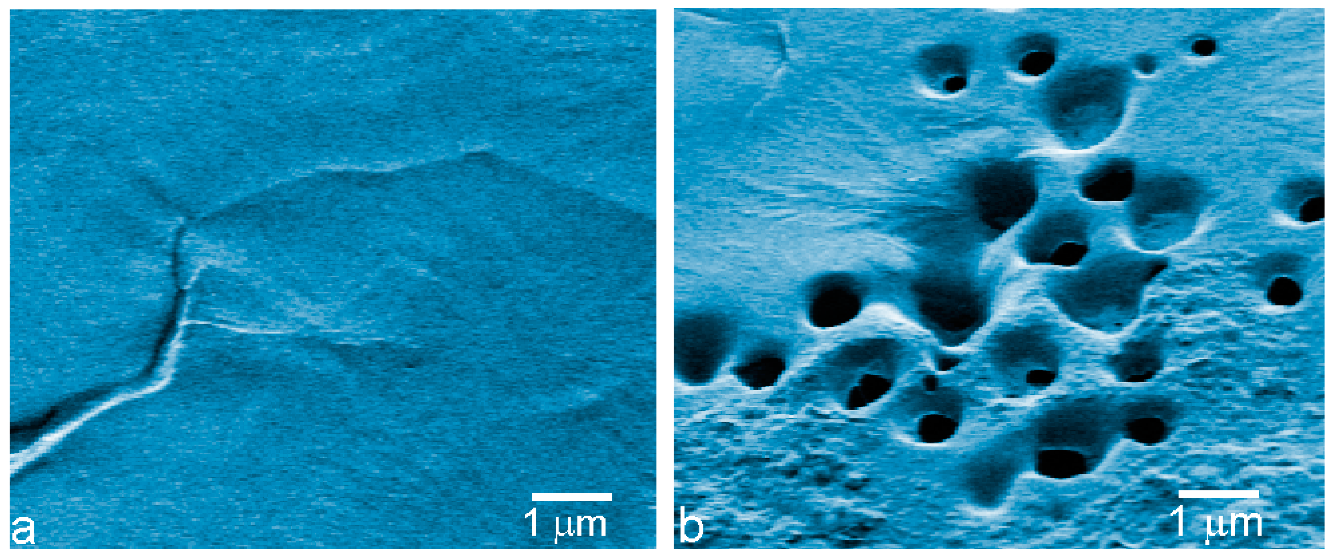 Materials 16 00786 g002