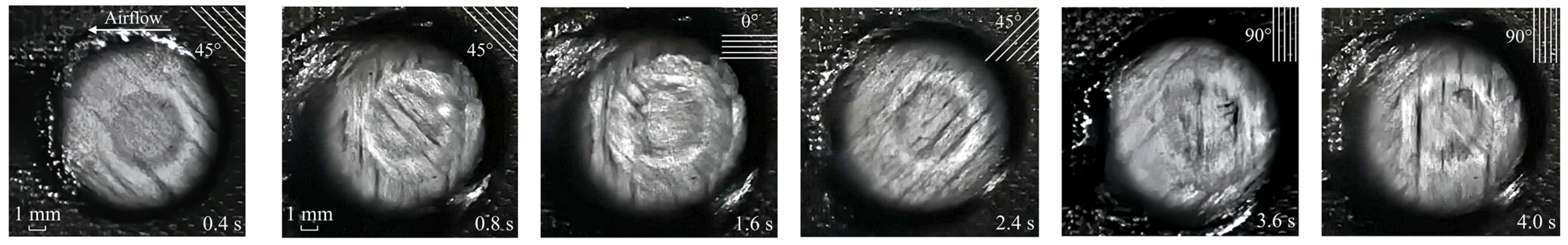 Materials 16 00790 g005