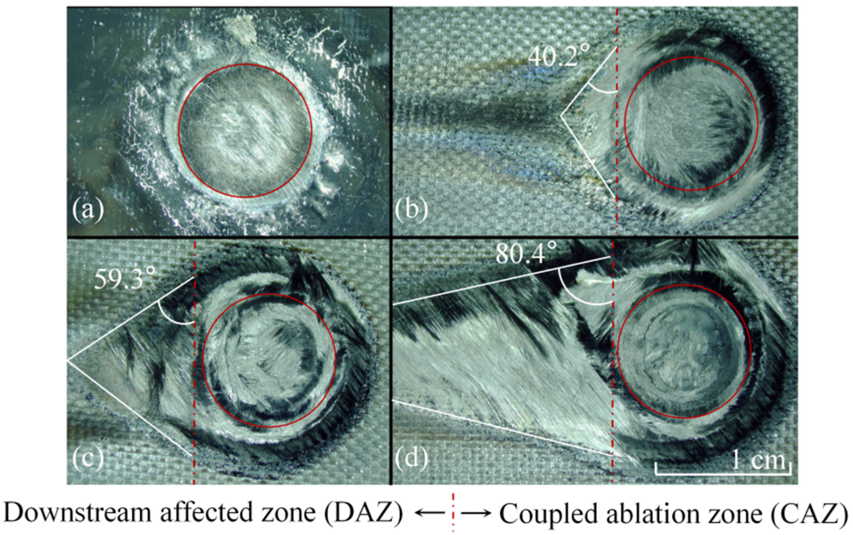 Materials 16 00790 g008