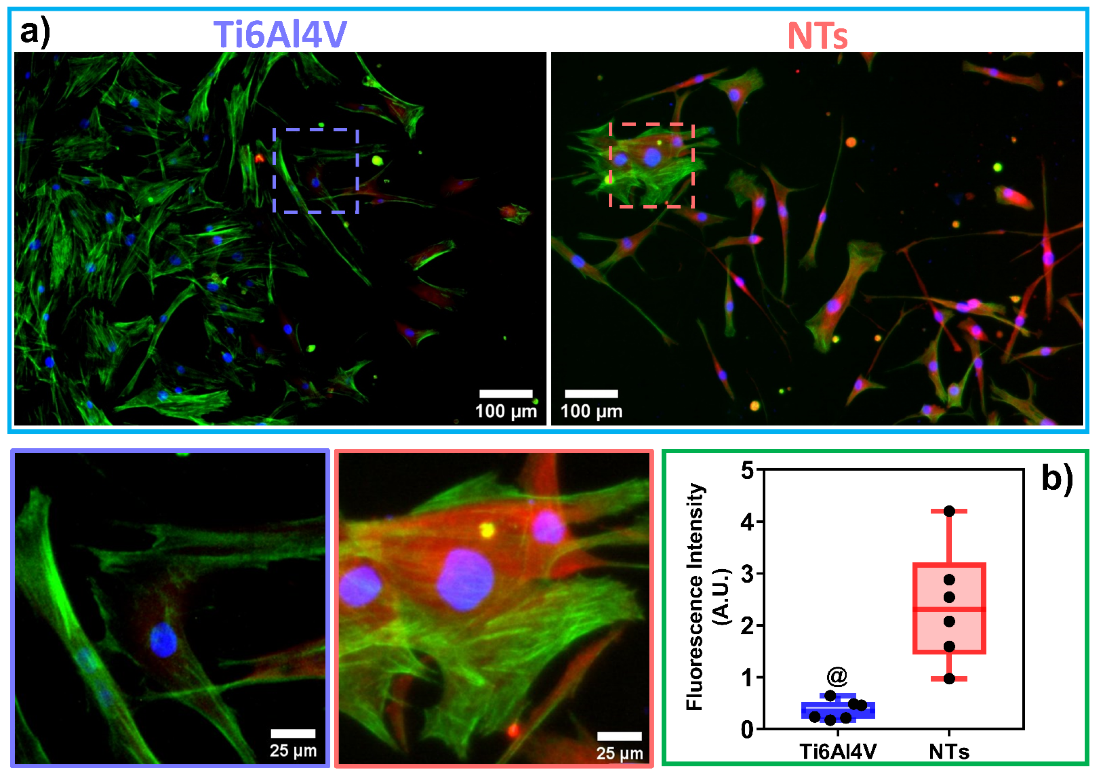 Materials 16 00794 g003