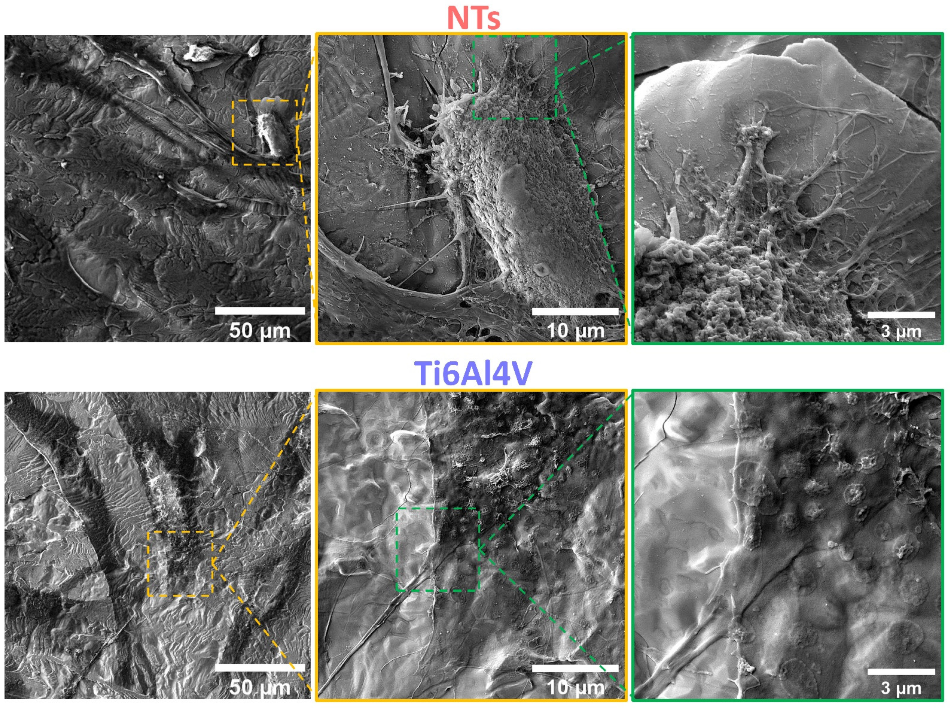 Materials 16 00794 g005