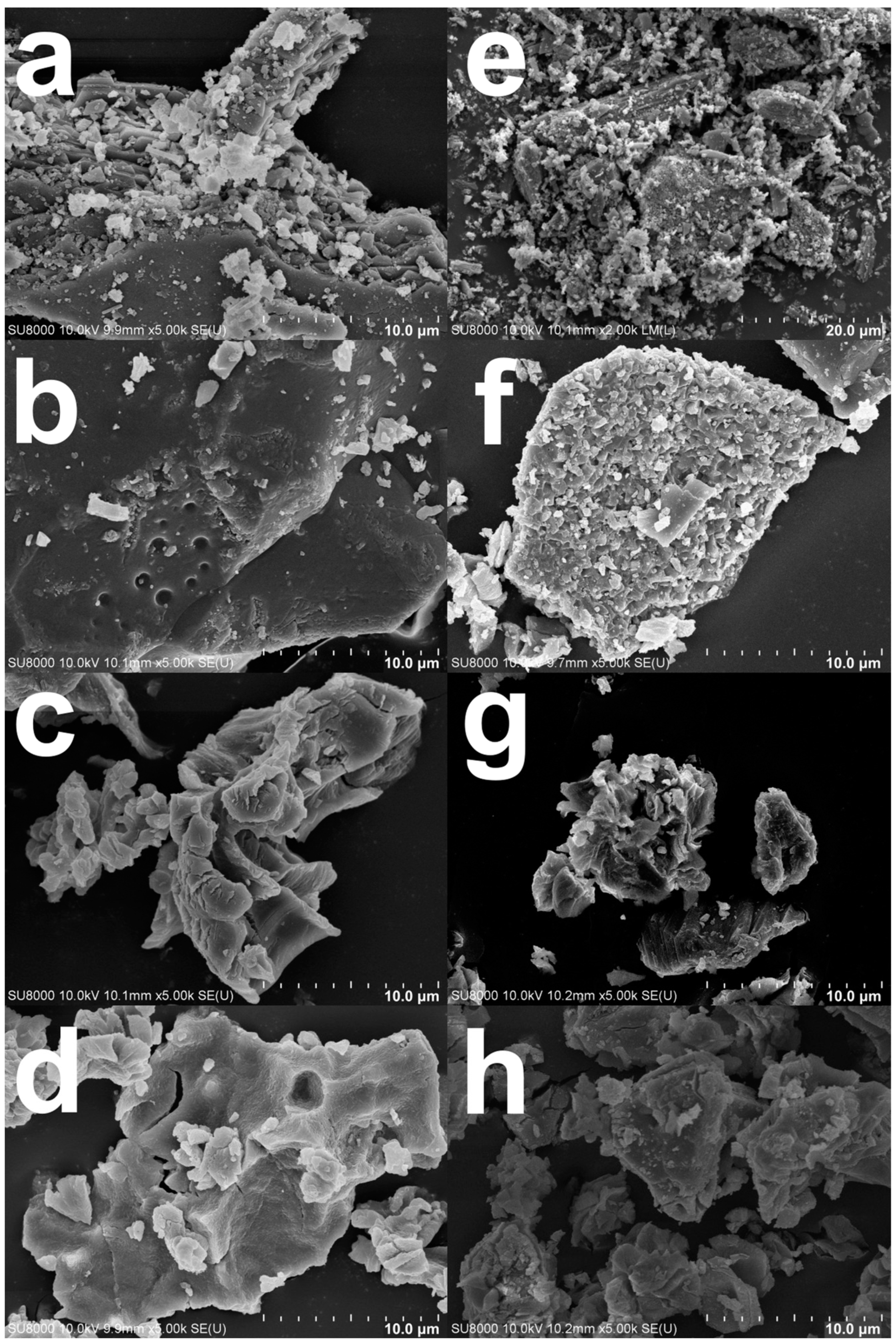 Materials 16 00805 g006 Materials 16 00805 g006