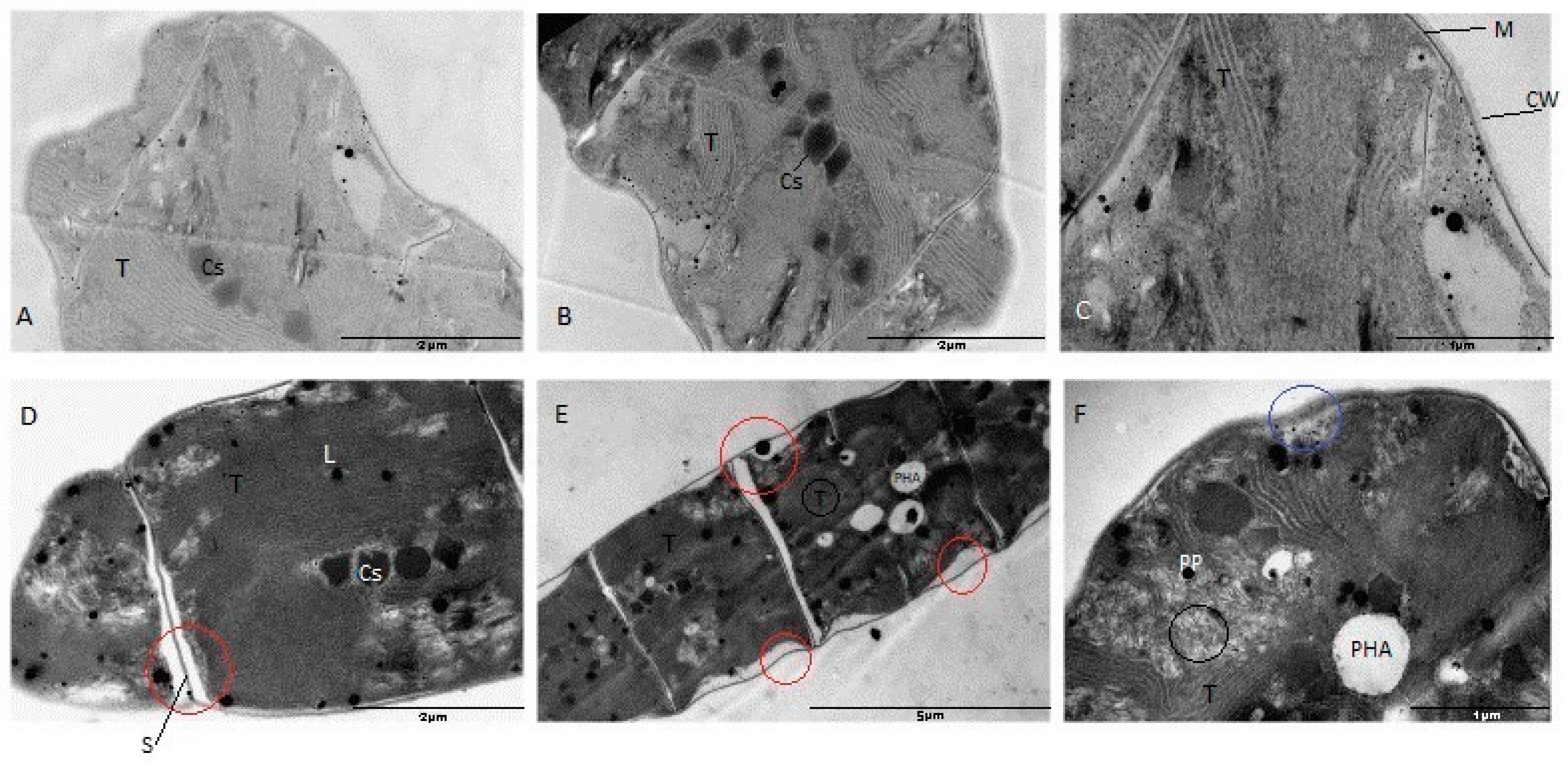 Materials 16 00852 g009 Materials 16 00852 g009